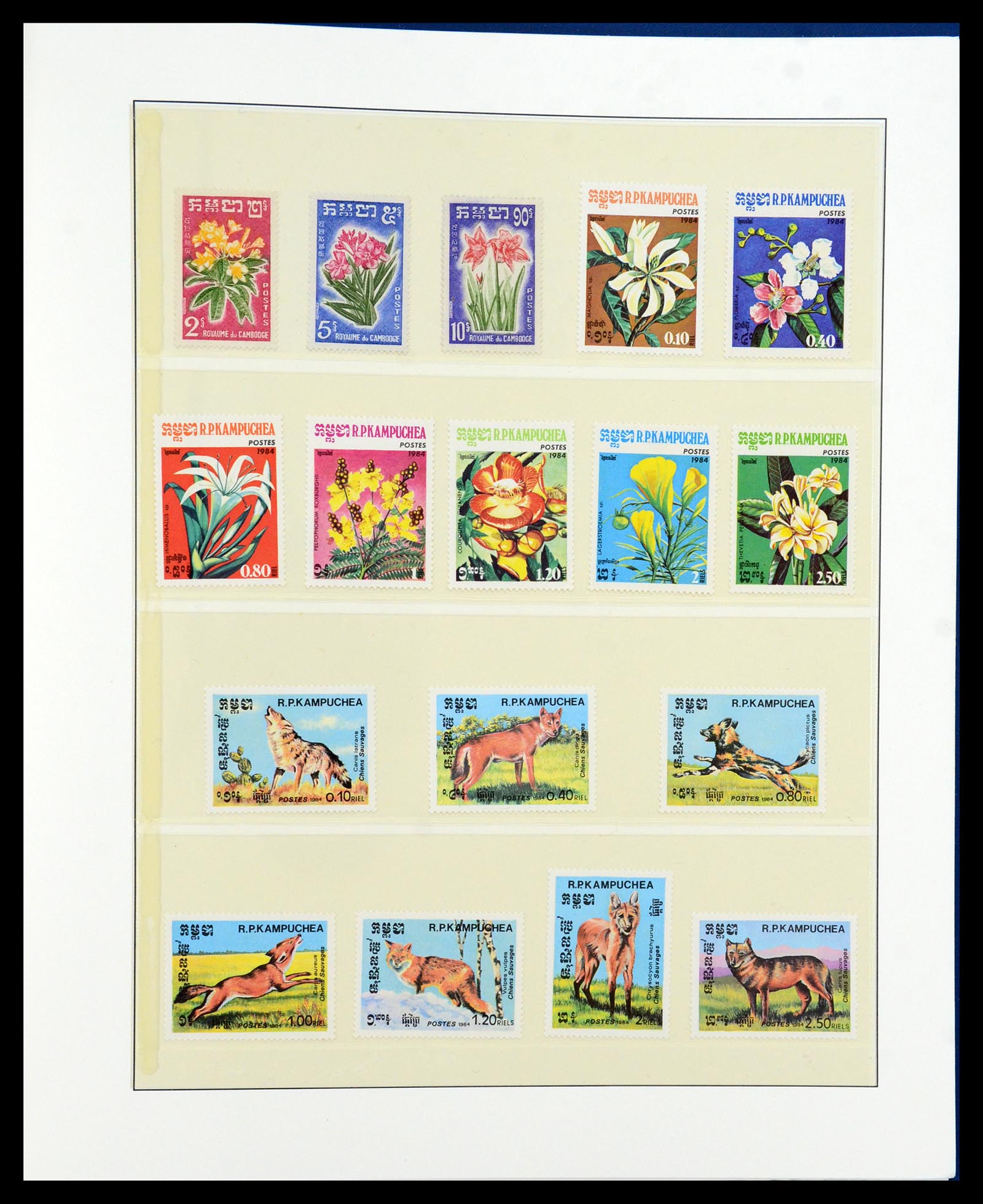 36096 720 - Stamp collection 36096 Theme cactus 1900-2015!