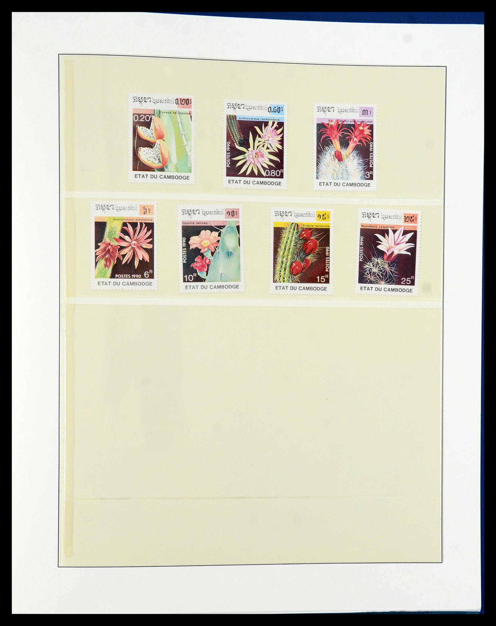 36096 722 - Stamp collection 36096 Theme cactus 1900-2015!