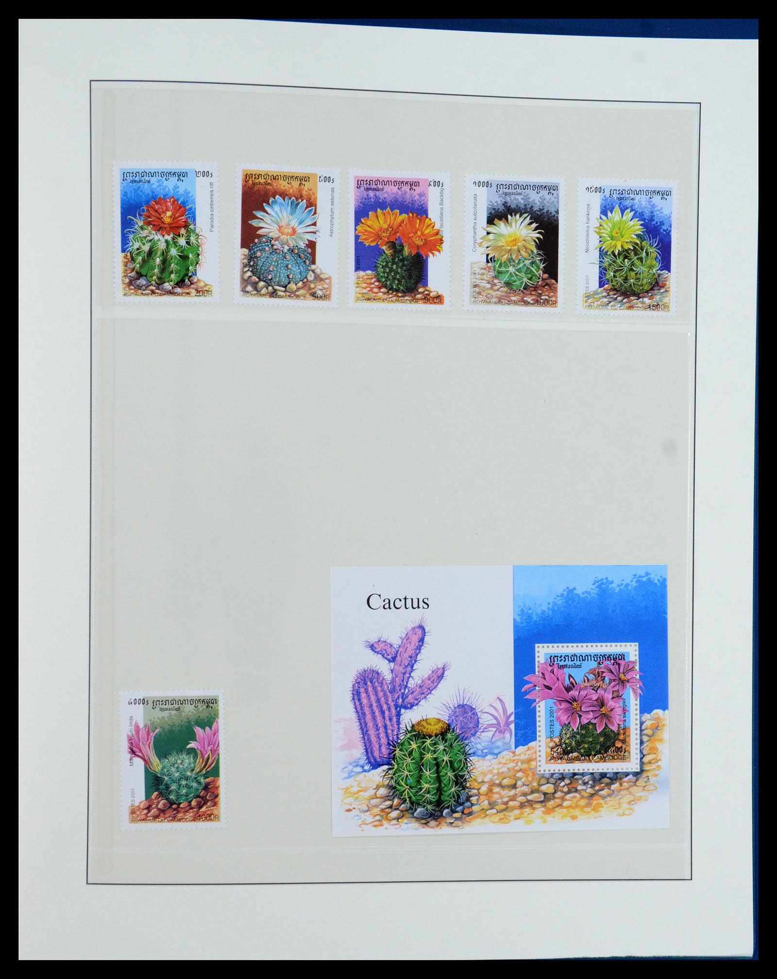 36096 723 - Stamp collection 36096 Theme cactus 1900-2015!