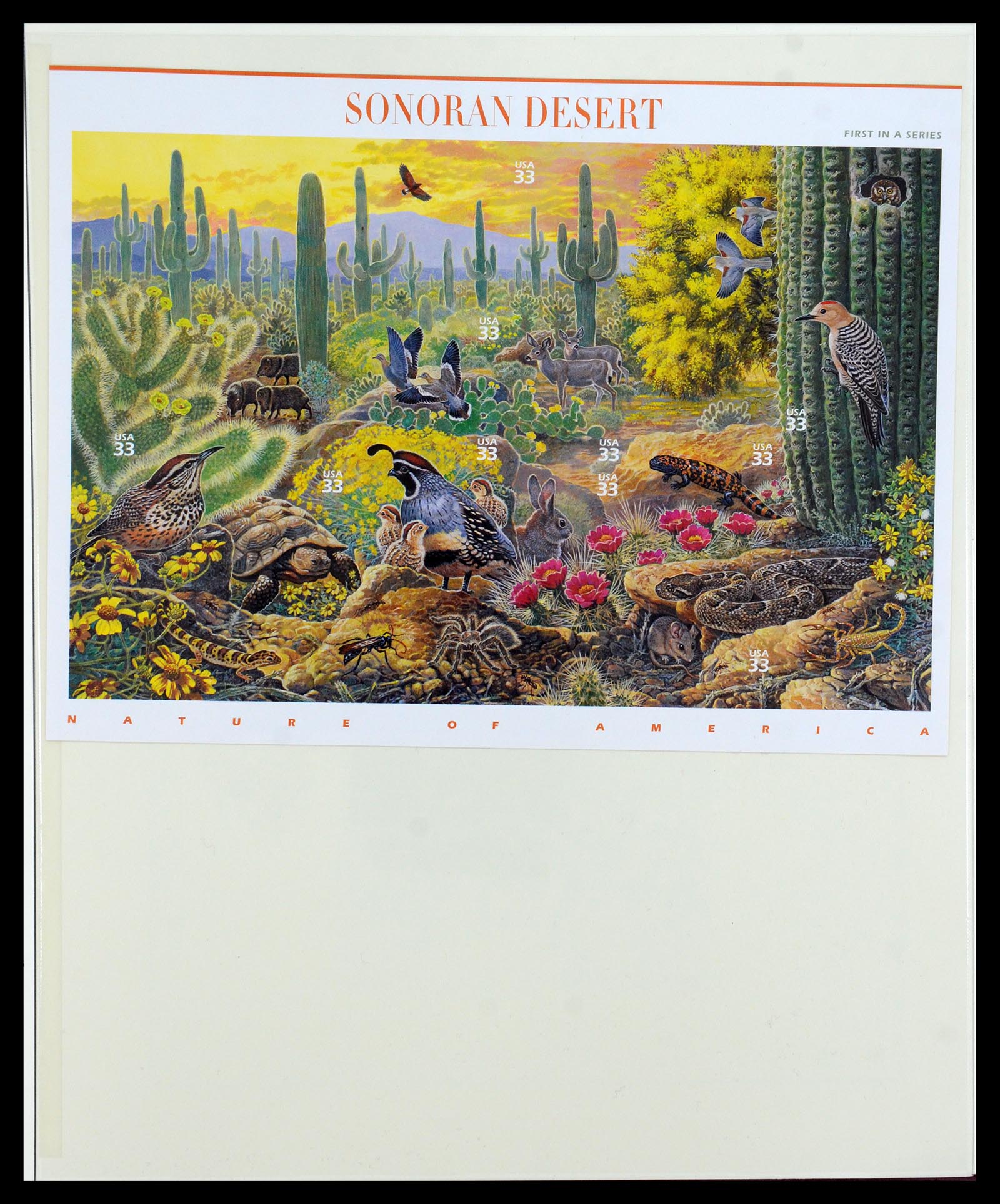 36096 725 - Stamp collection 36096 Theme cactus 1900-2015!