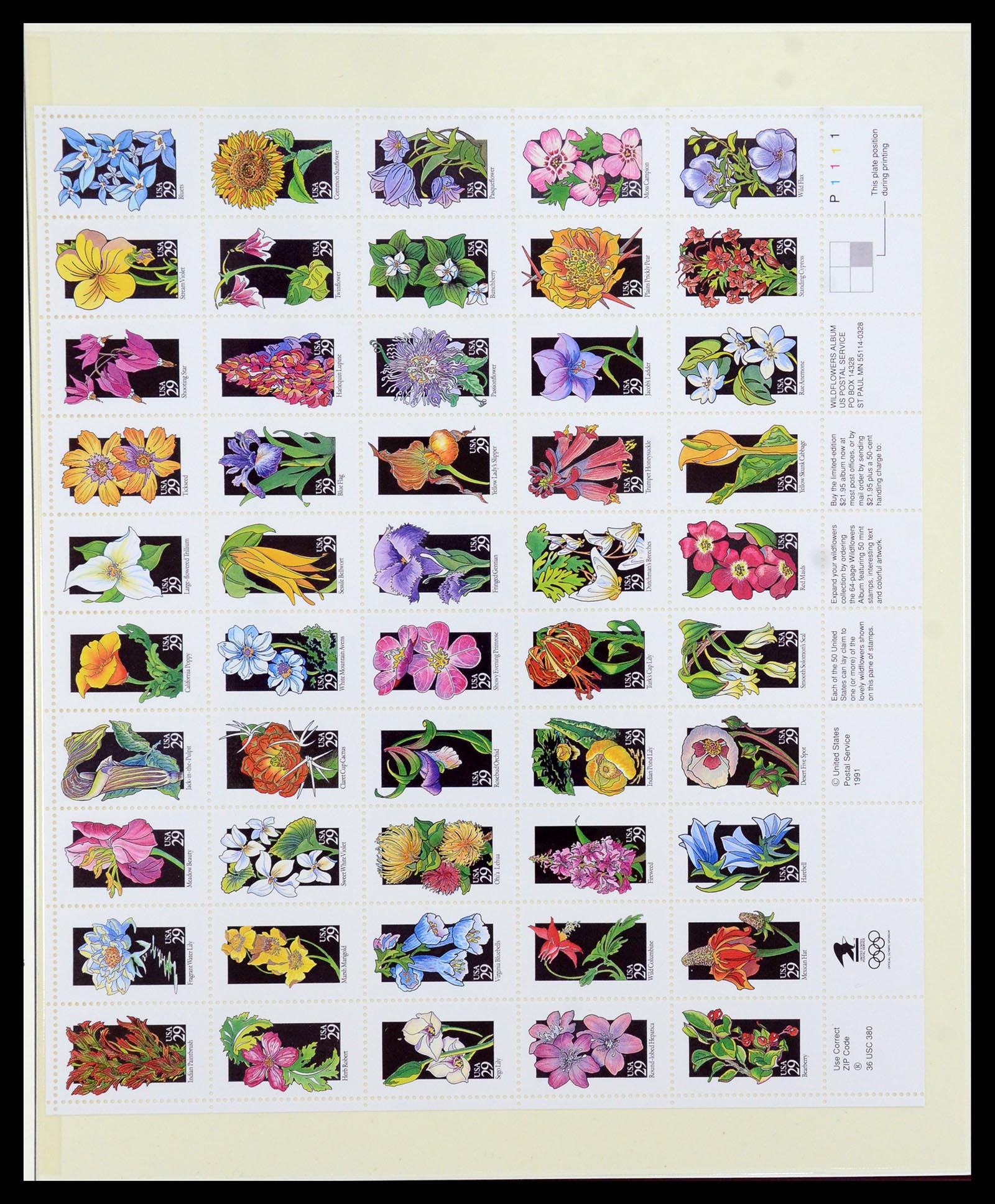 36096 728 - Stamp collection 36096 Theme cactus 1900-2015!