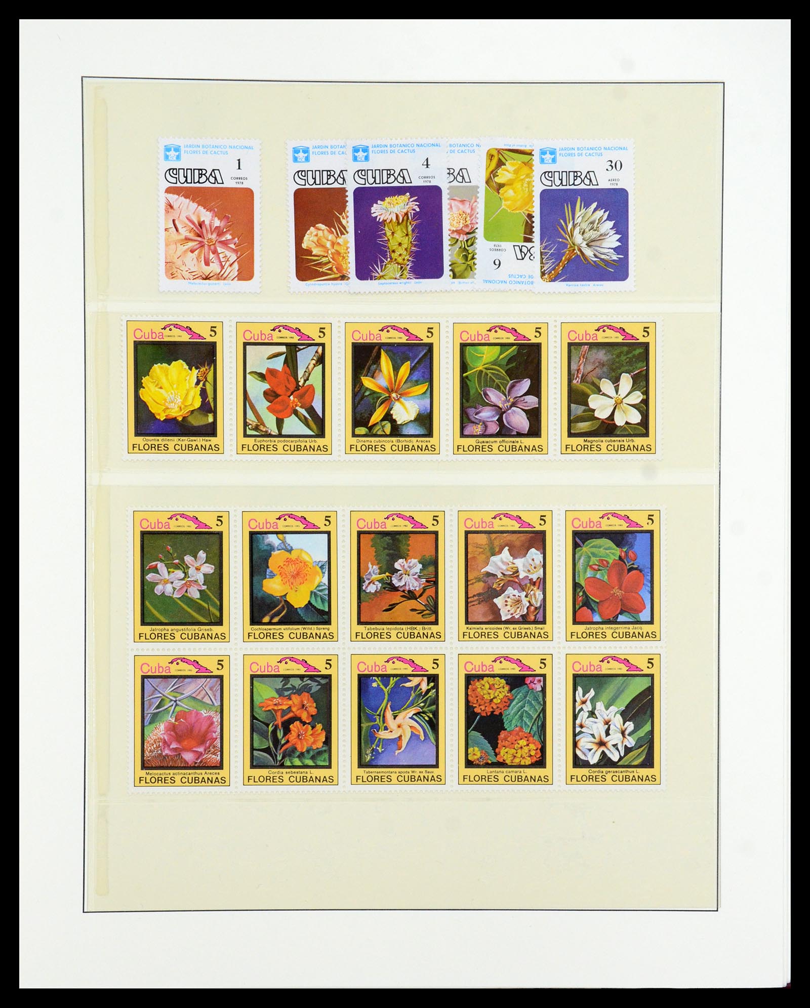 36096 732 - Stamp collection 36096 Theme cactus 1900-2015!