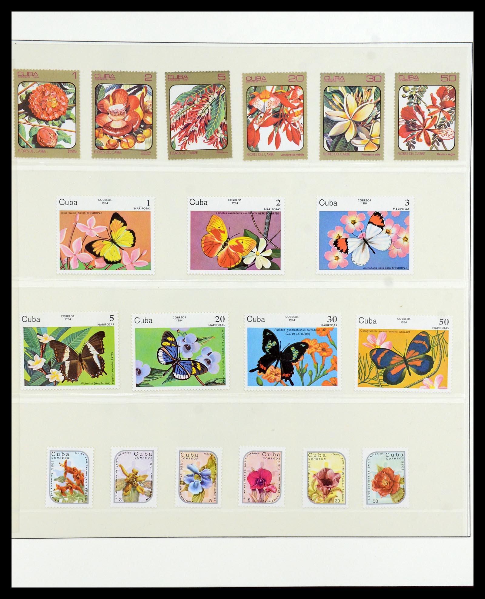 36096 734 - Stamp collection 36096 Theme cactus 1900-2015!