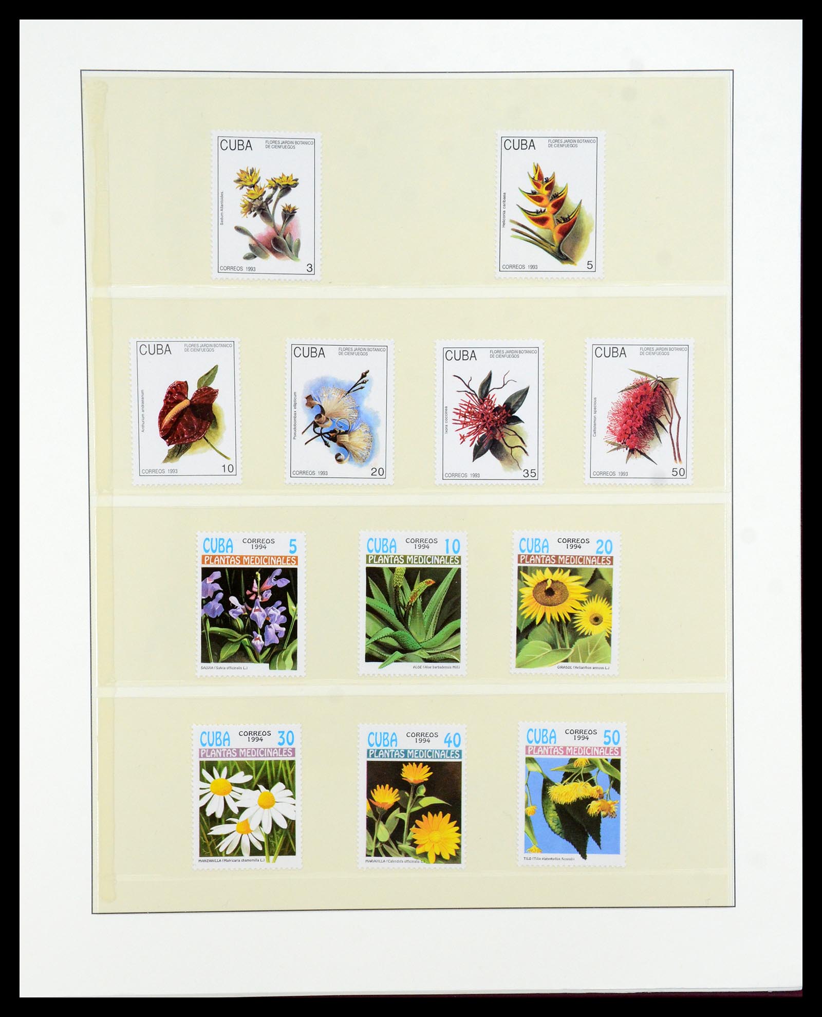 36096 736 - Stamp collection 36096 Theme cactus 1900-2015!