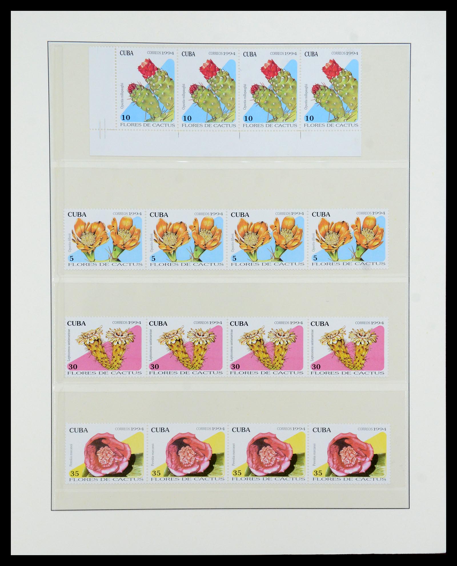 36096 737 - Stamp collection 36096 Theme cactus 1900-2015!
