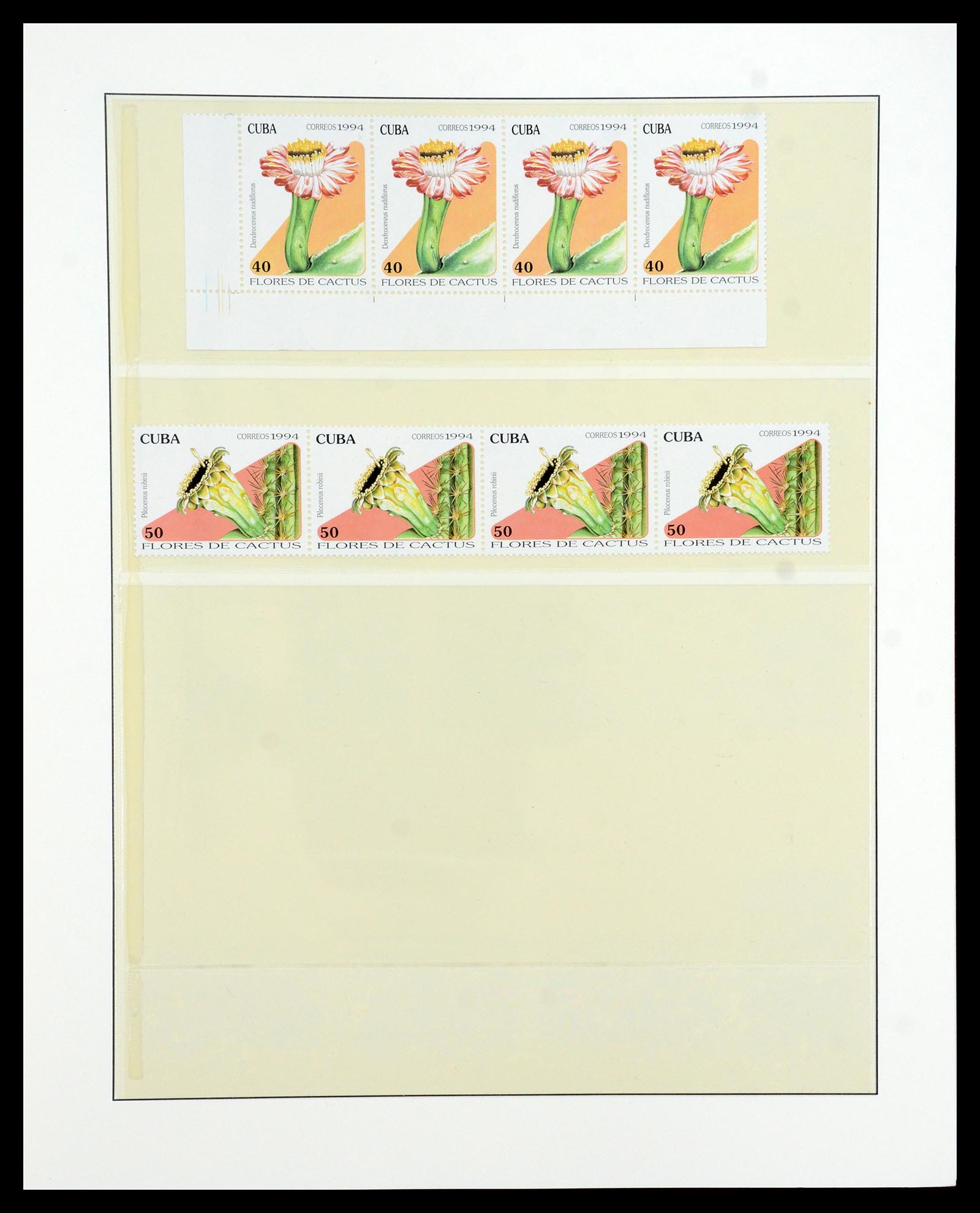 36096 738 - Stamp collection 36096 Theme cactus 1900-2015!