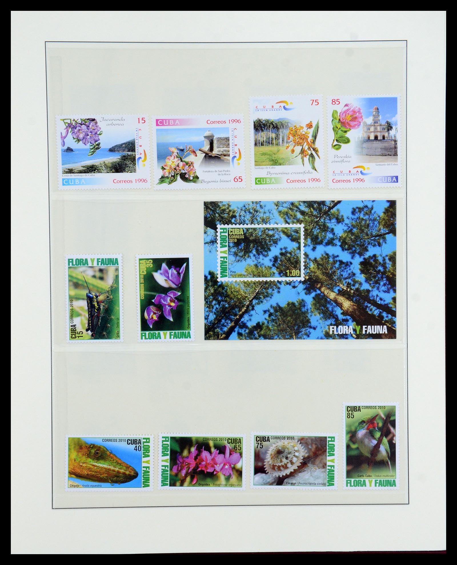 36096 739 - Stamp collection 36096 Theme cactus 1900-2015!