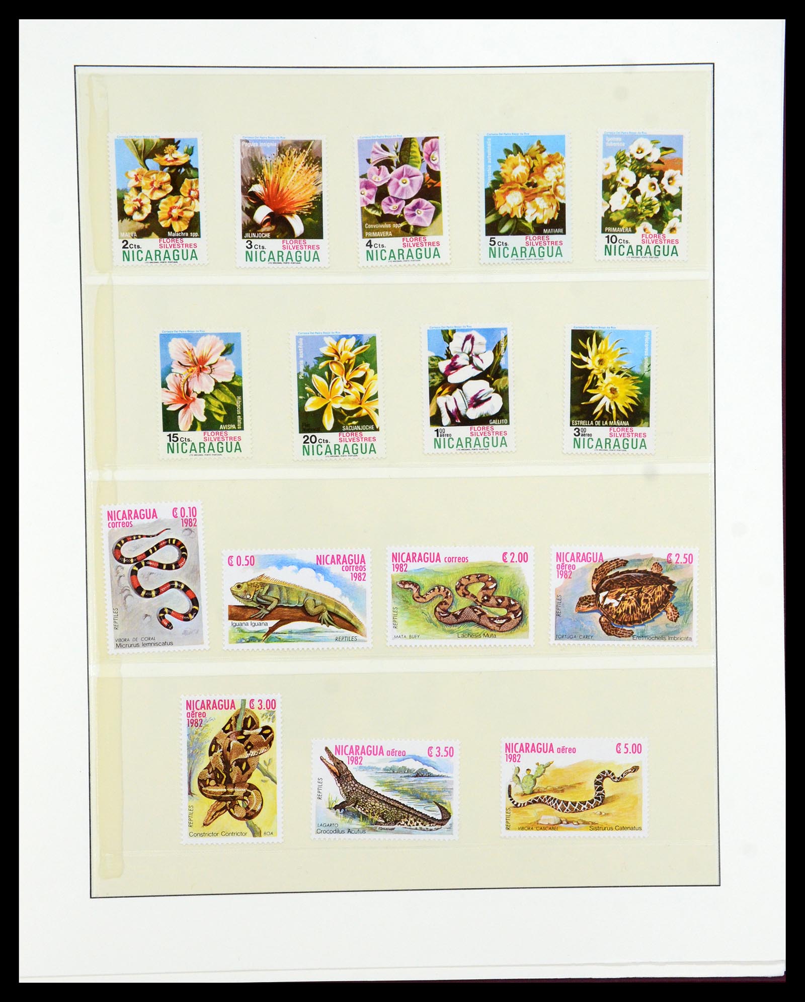 36096 747 - Postzegelverzameling 36096 Motief cactus 1900-2015!
