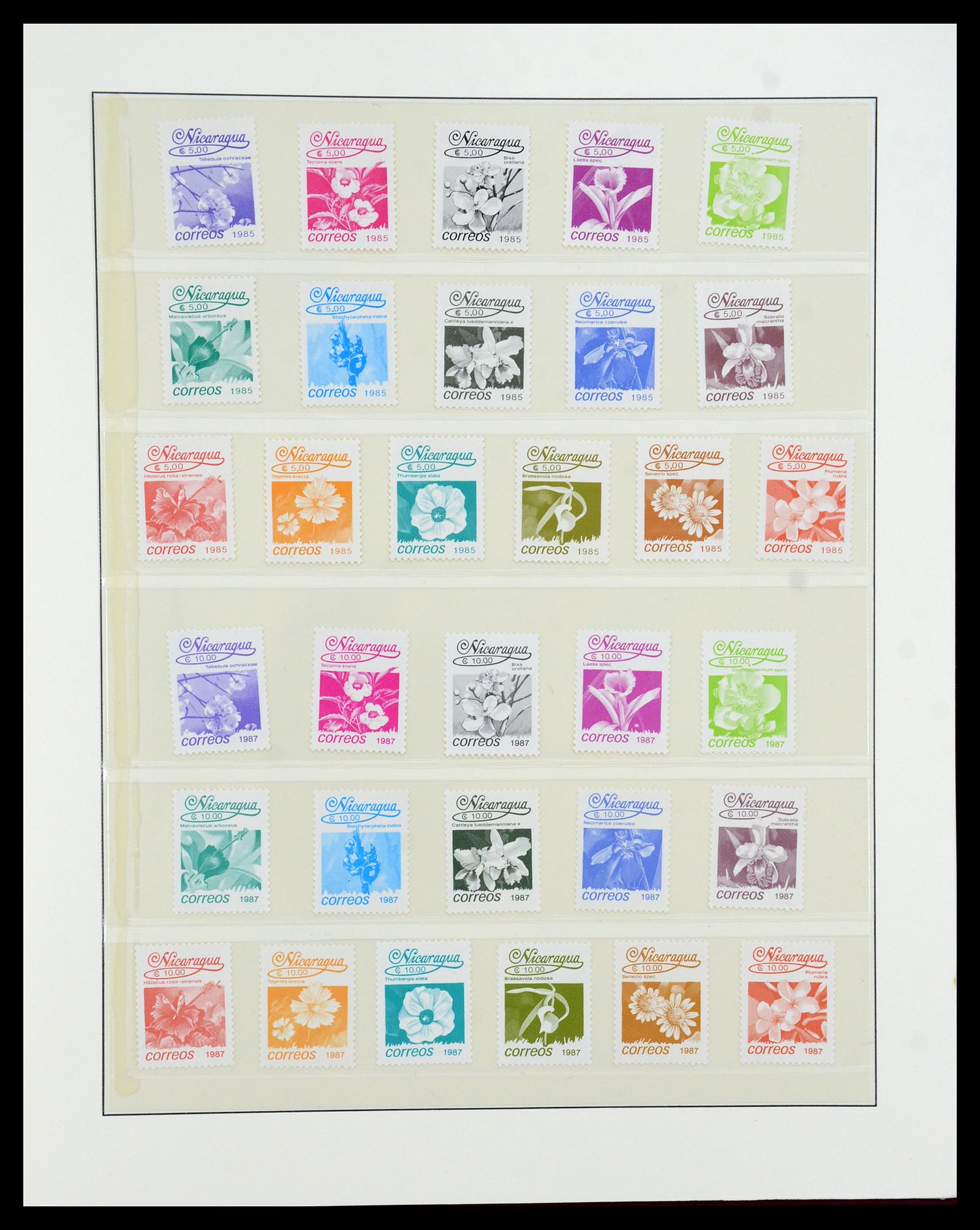 36096 748 - Postzegelverzameling 36096 Motief cactus 1900-2015!