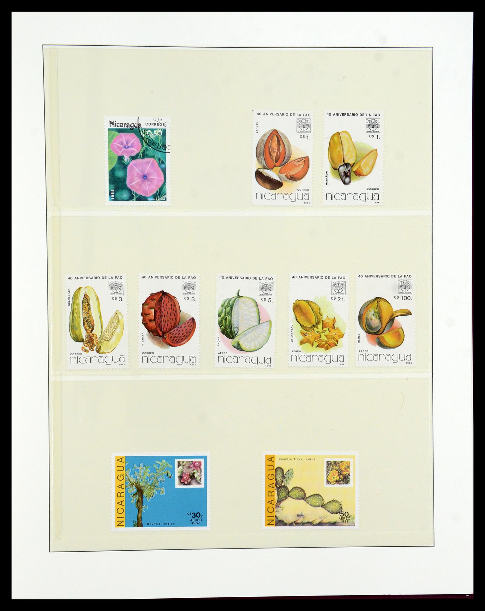 36096 749 - Postzegelverzameling 36096 Motief cactus 1900-2015!