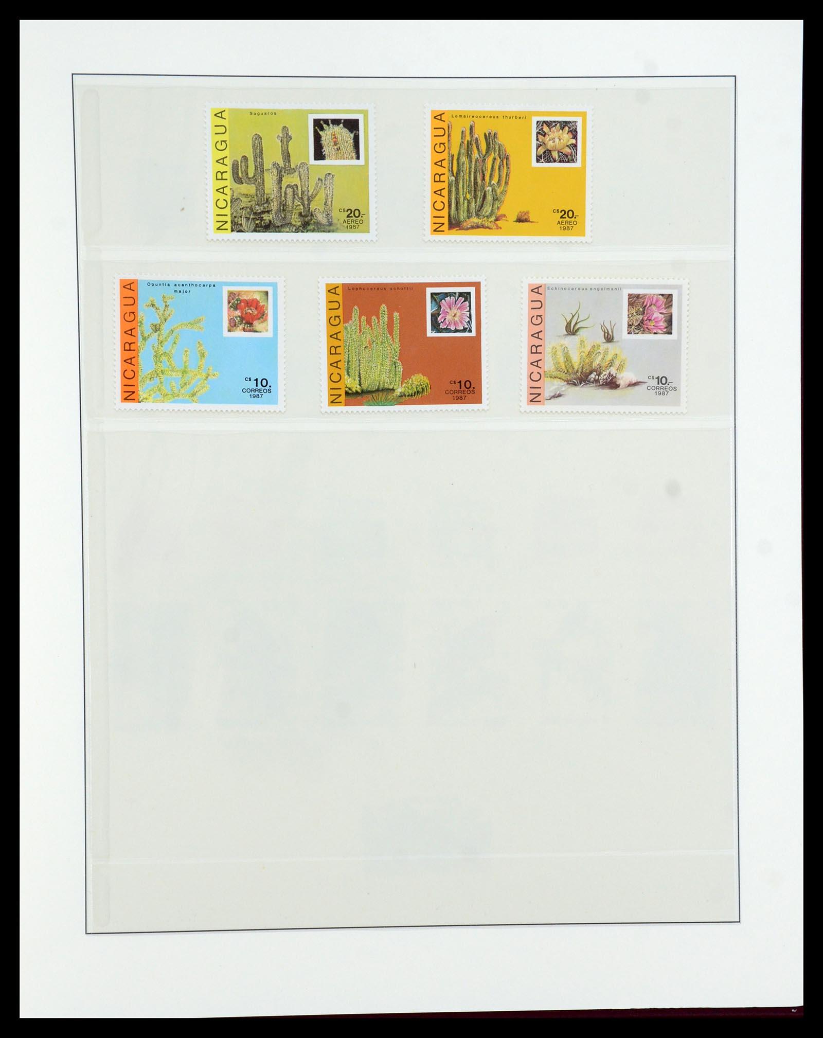 36096 750 - Postzegelverzameling 36096 Motief cactus 1900-2015!