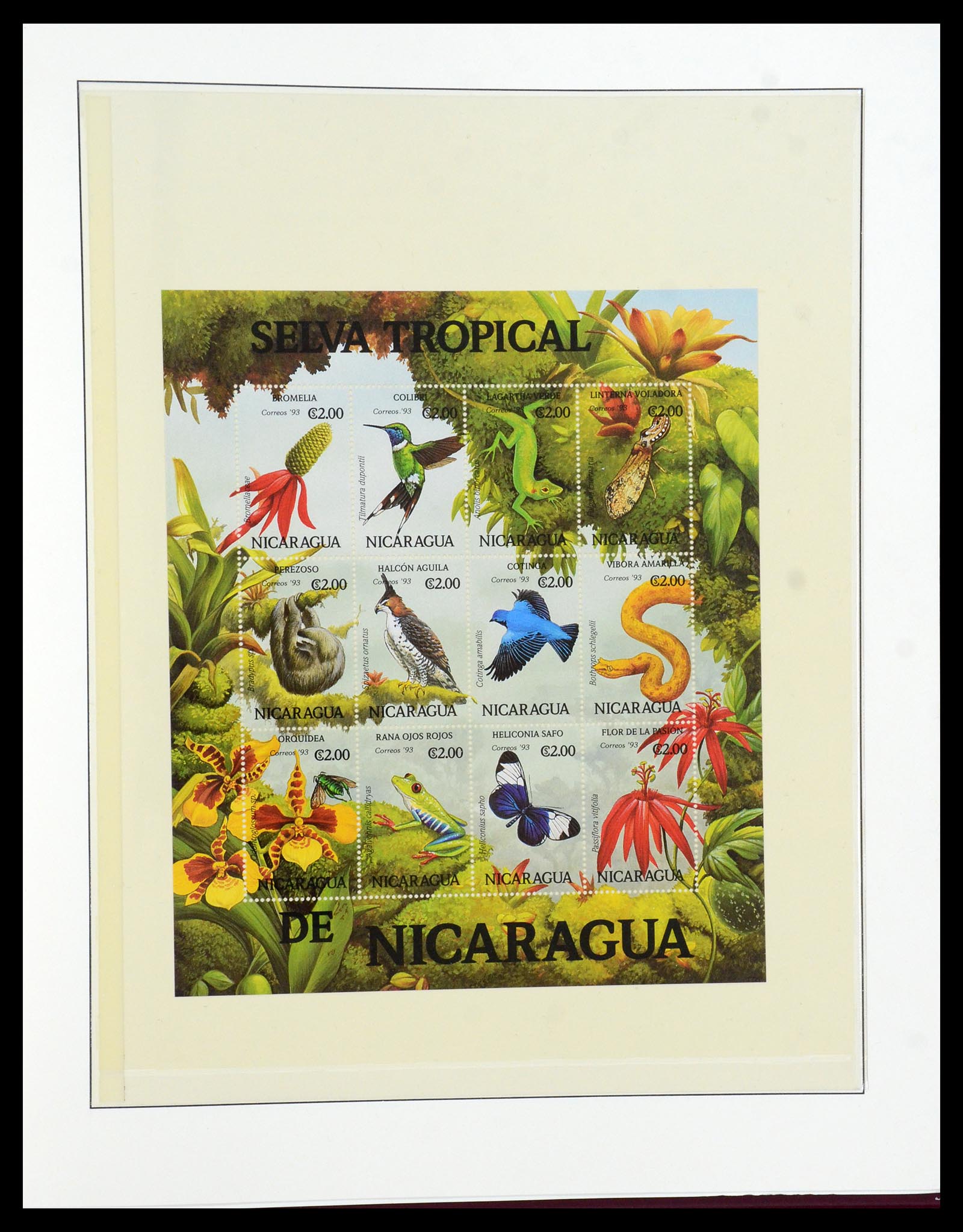 36096 753 - Postzegelverzameling 36096 Motief cactus 1900-2015!