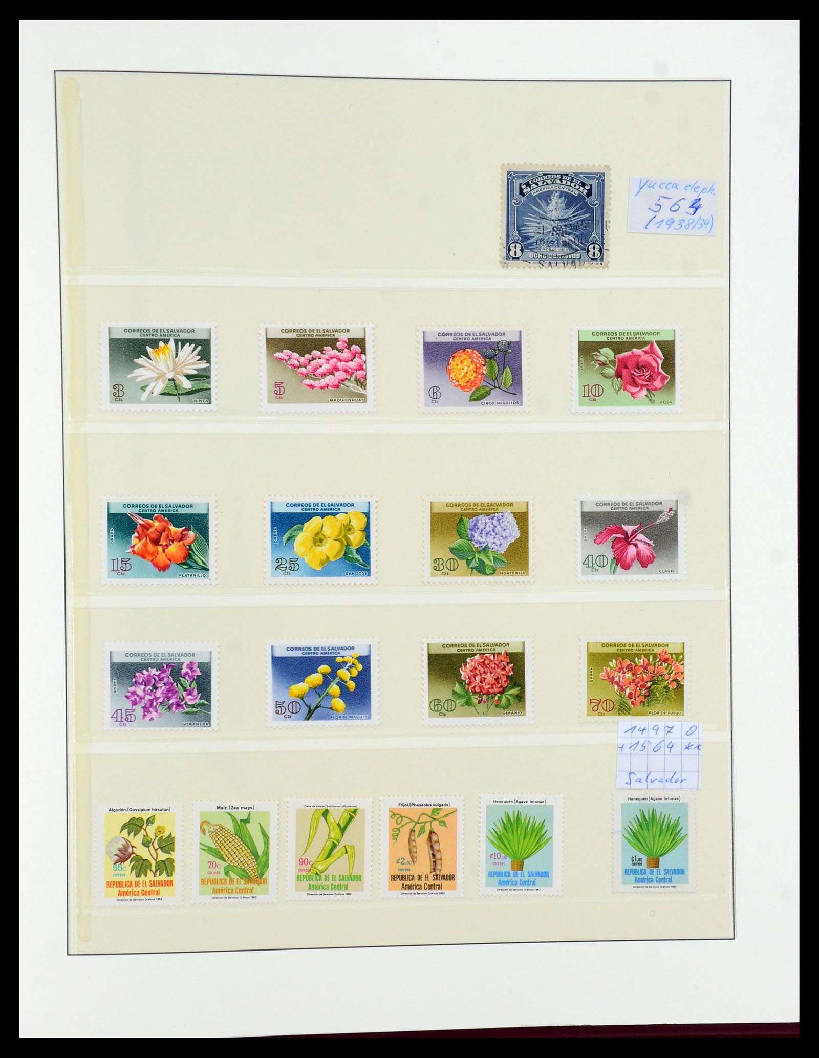 36096 755 - Postzegelverzameling 36096 Motief cactus 1900-2015!