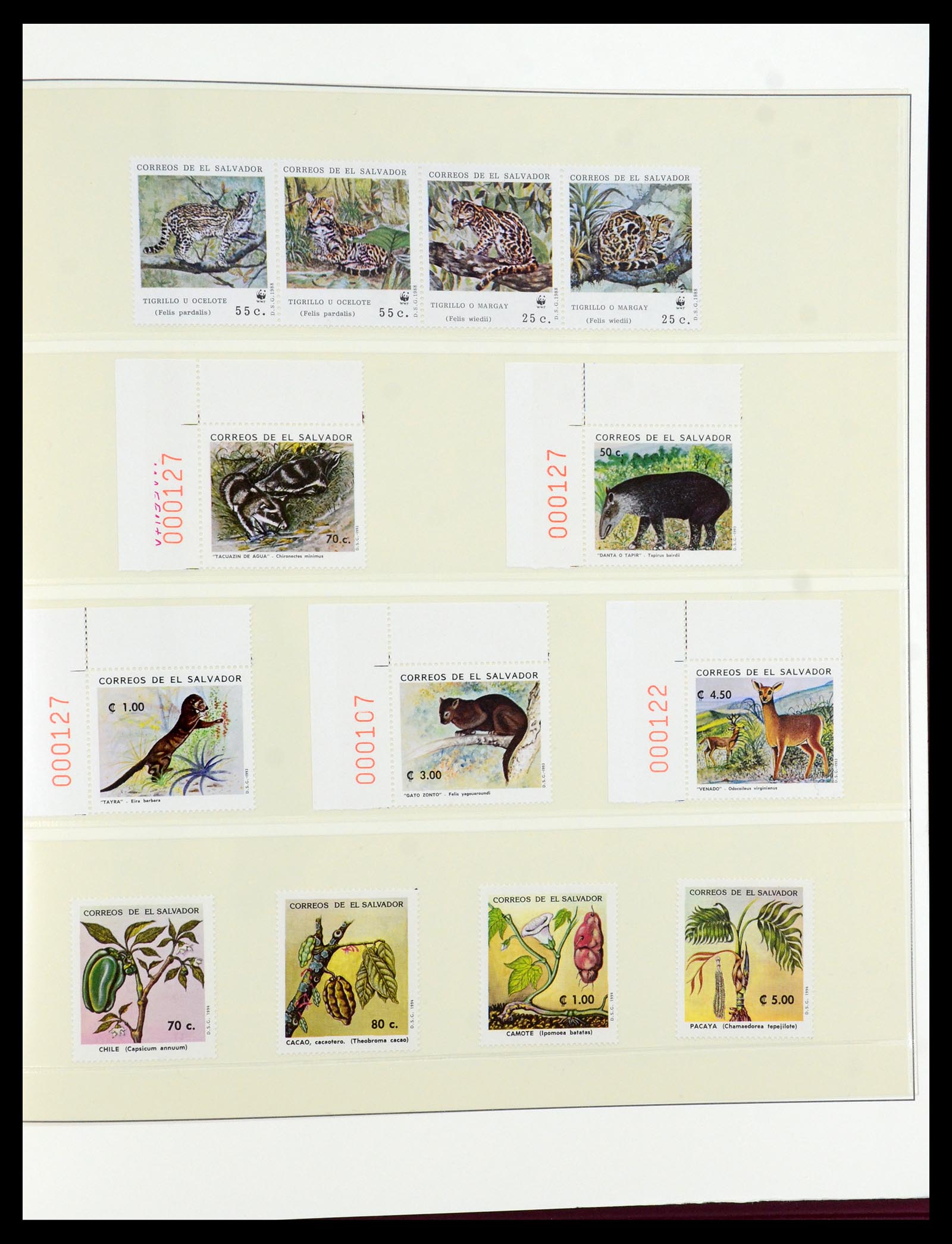 36096 756 - Postzegelverzameling 36096 Motief cactus 1900-2015!