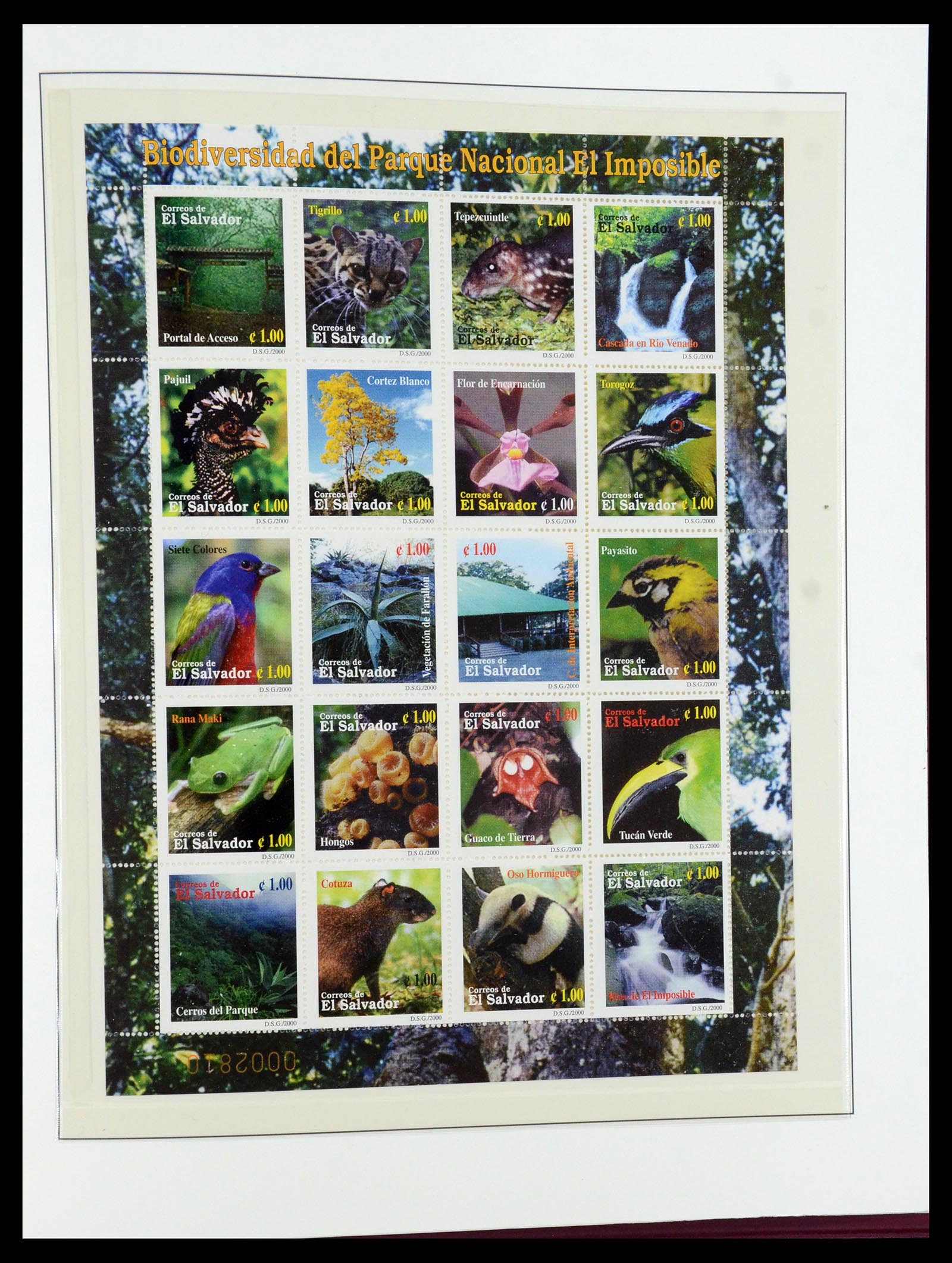 36096 757 - Postzegelverzameling 36096 Motief cactus 1900-2015!