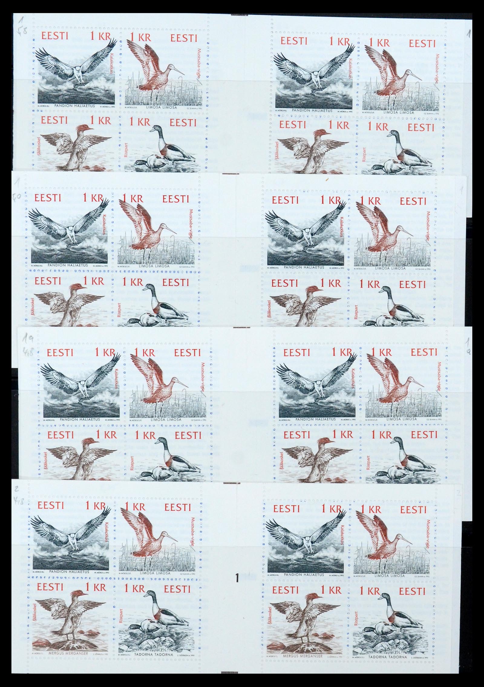 36105 025 - Stamp collection 36105 Estonia specialised 1918-2019!