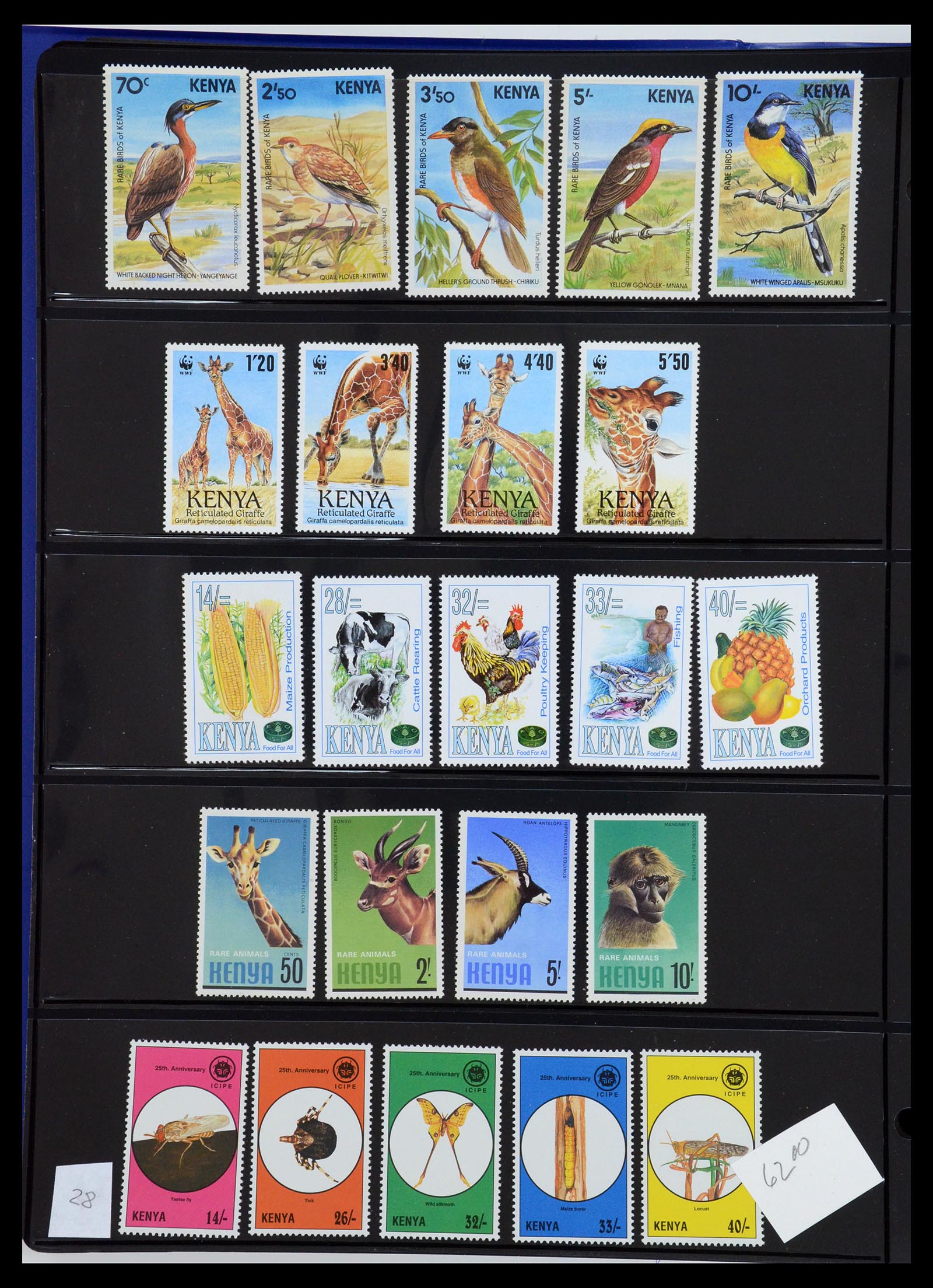 36278 029 - Postzegelverzameling 36278 Kenia, Oeganda en Tanganyika 1922-2008.