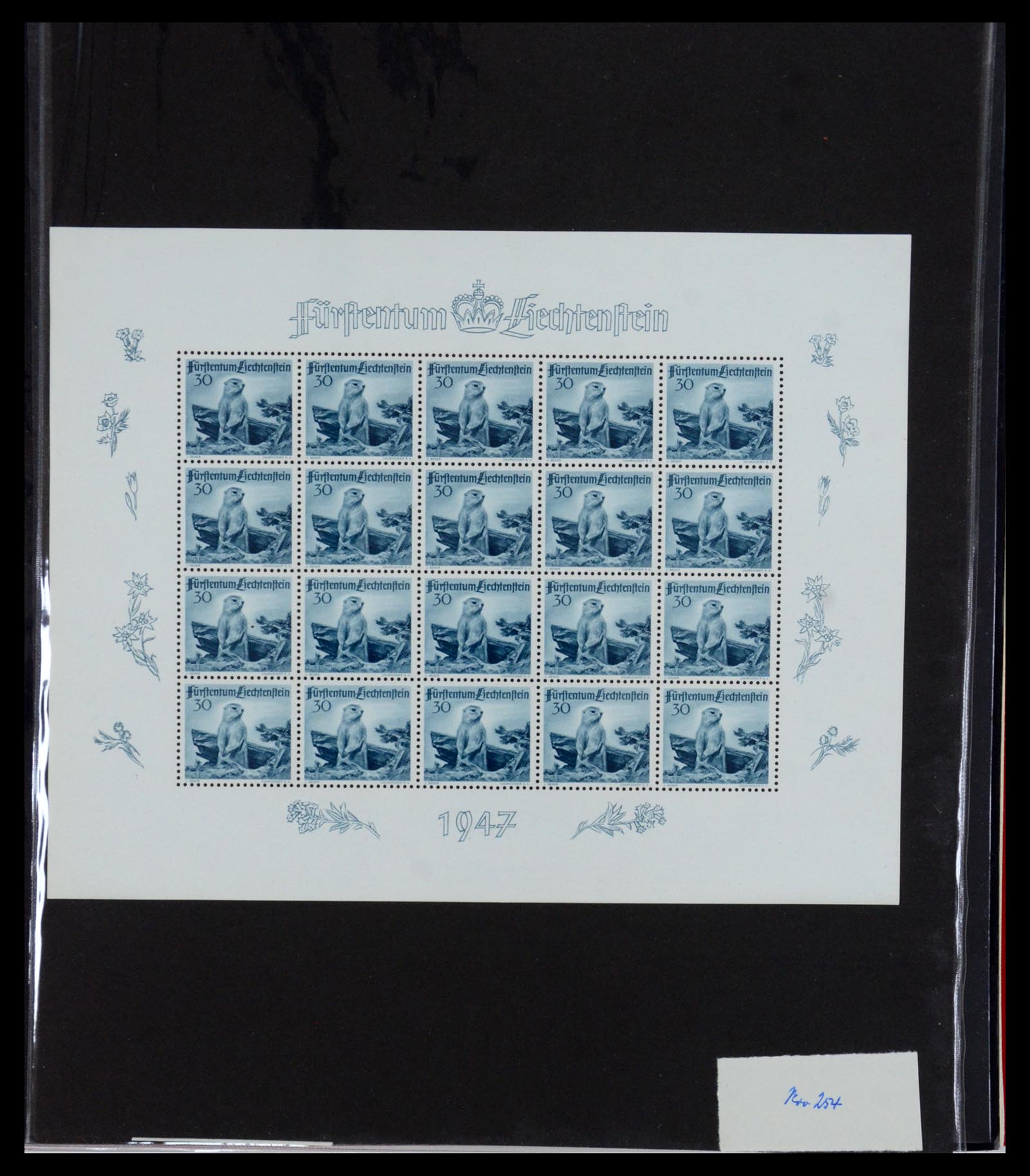 36280 045 - Stamp collection 36280 Liechtenstein souvenir sheets and sheetlets 1934-