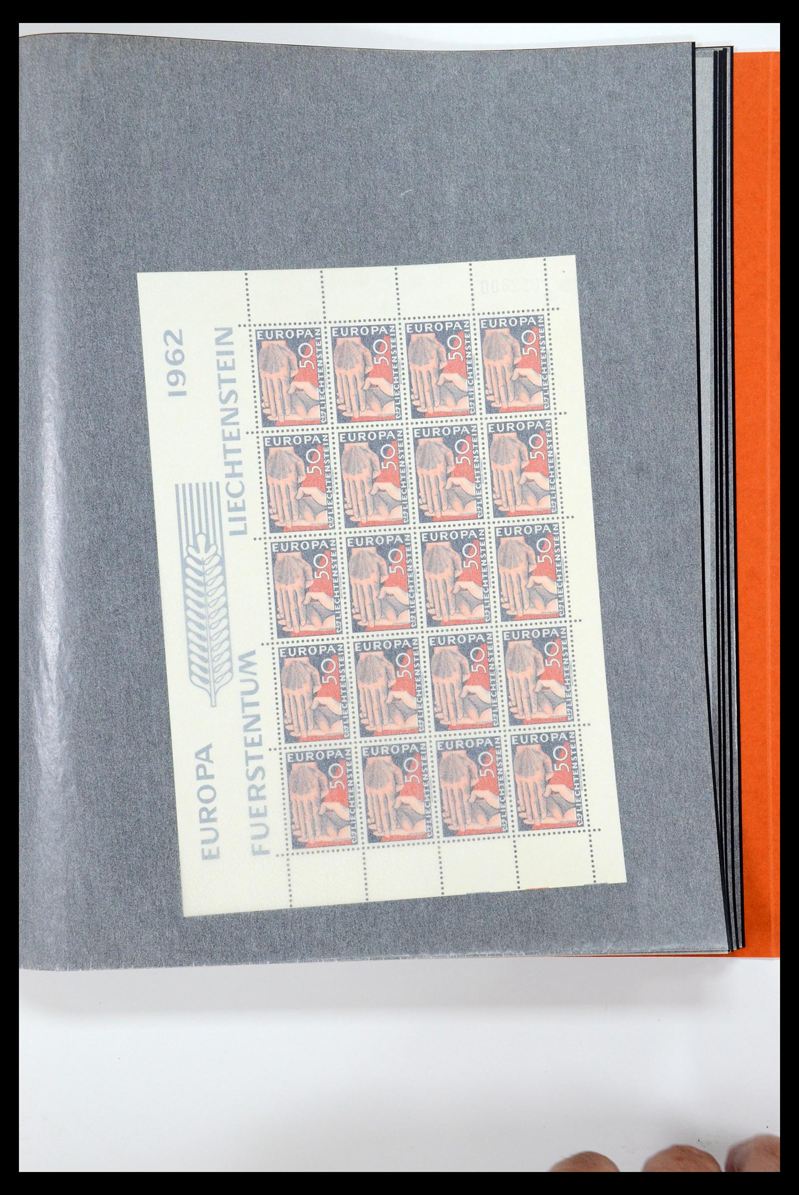 36280 202 - Stamp collection 36280 Liechtenstein souvenir sheets and sheetlets 1934-