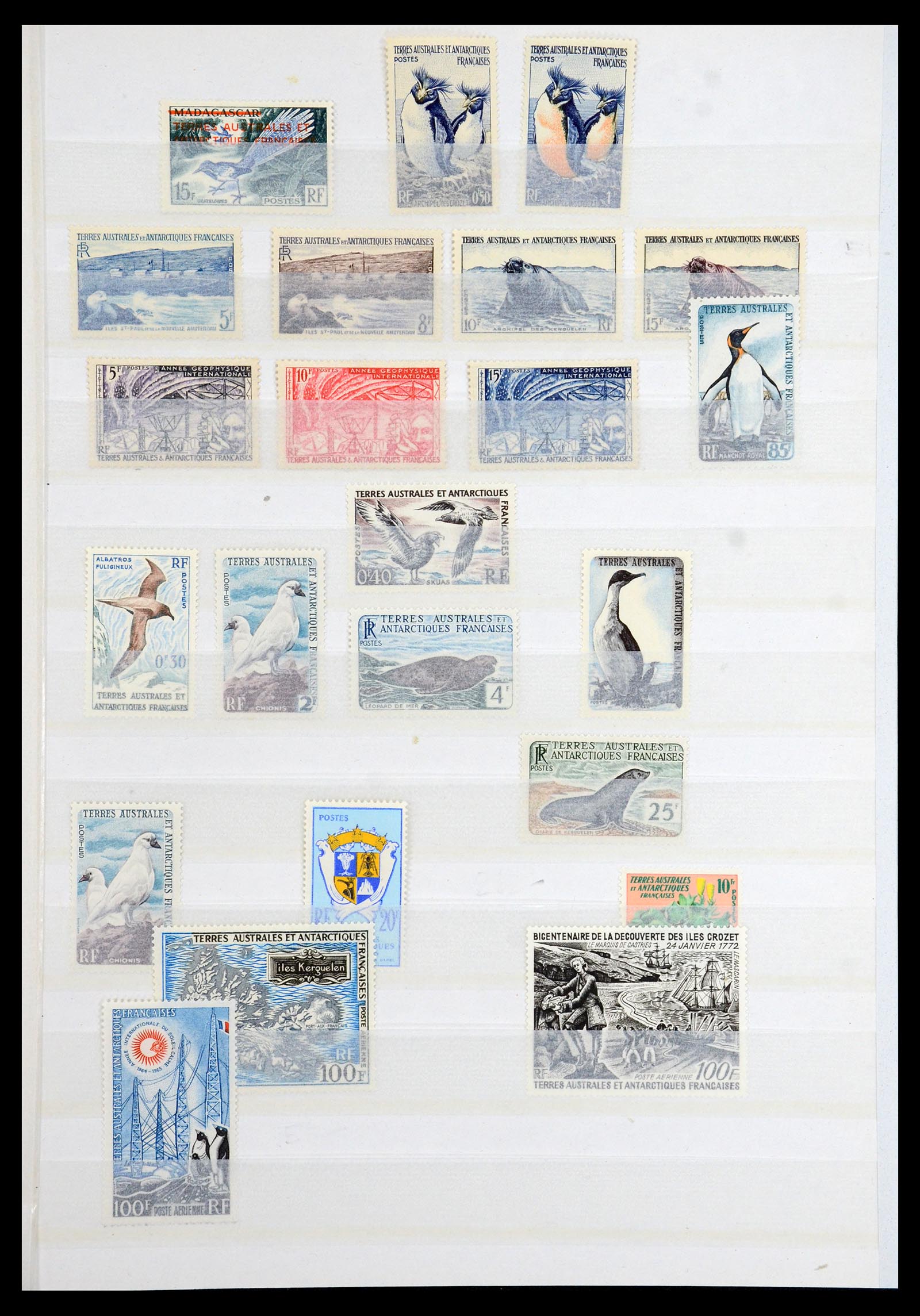 36373 001 - Postzegelverzameling 36373 Frans Antarctica 1955-2011.