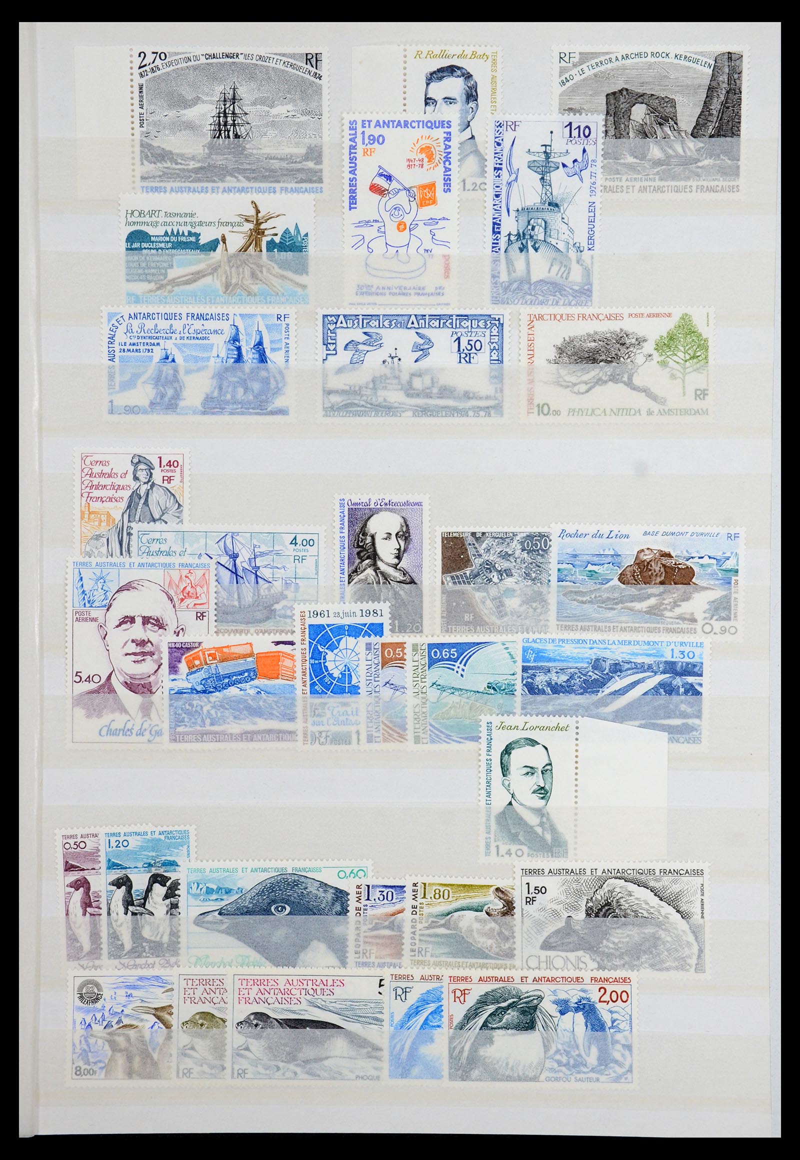 36373 005 - Postzegelverzameling 36373 Frans Antarctica 1955-2011.