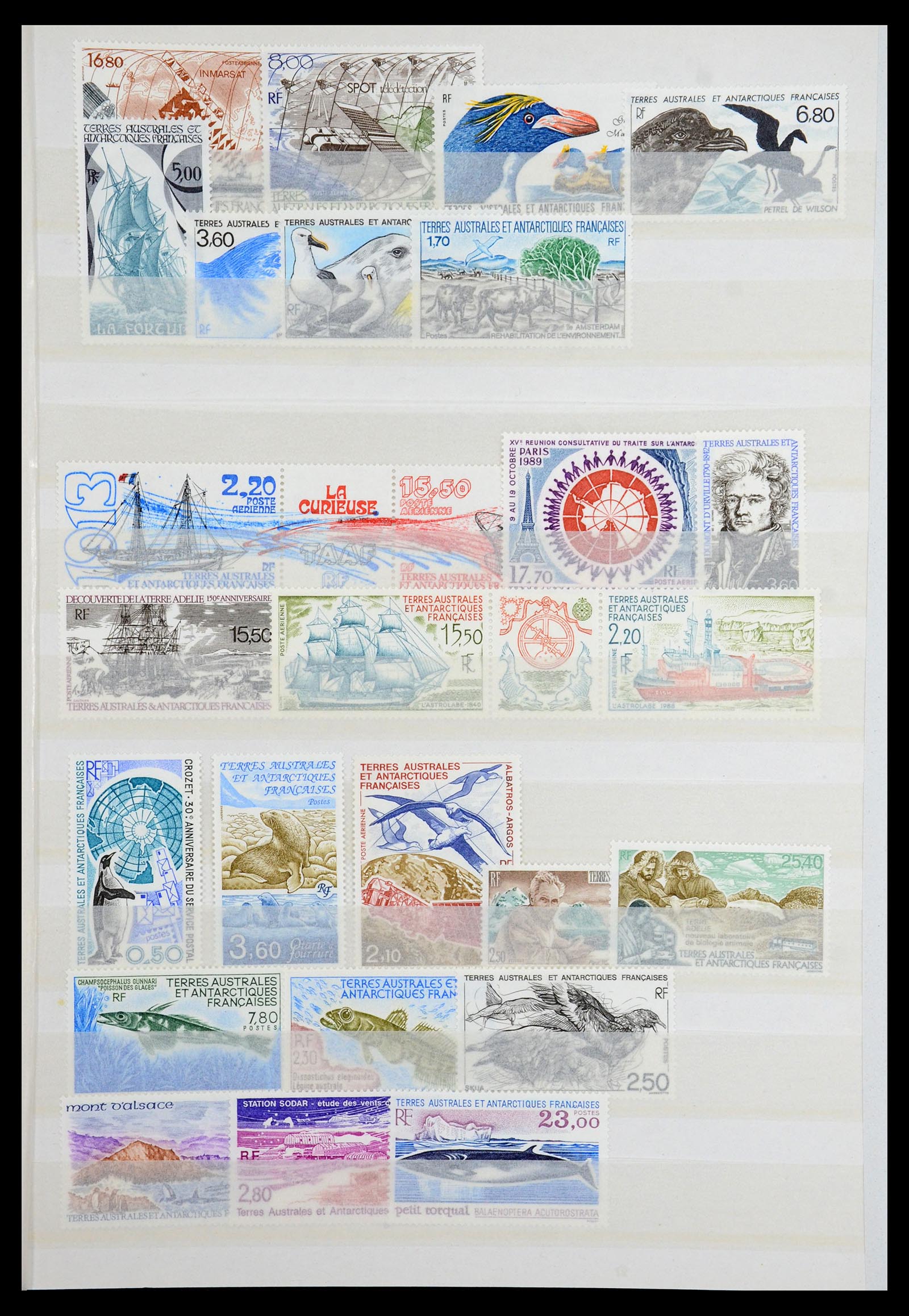 36373 007 - Postzegelverzameling 36373 Frans Antarctica 1955-2011.
