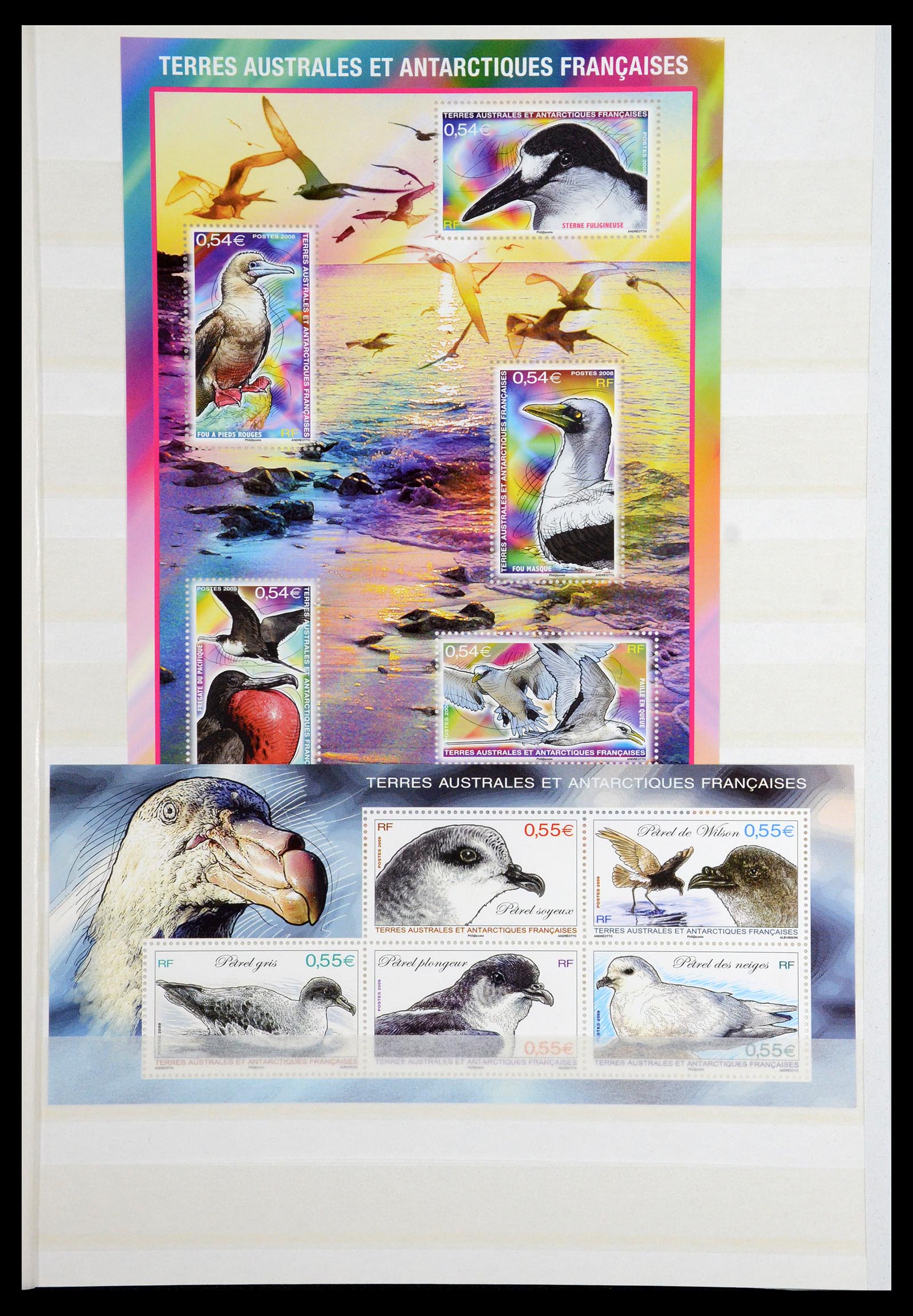 36373 013 - Stamp collection 36373 French Antarctic 1955-2011.