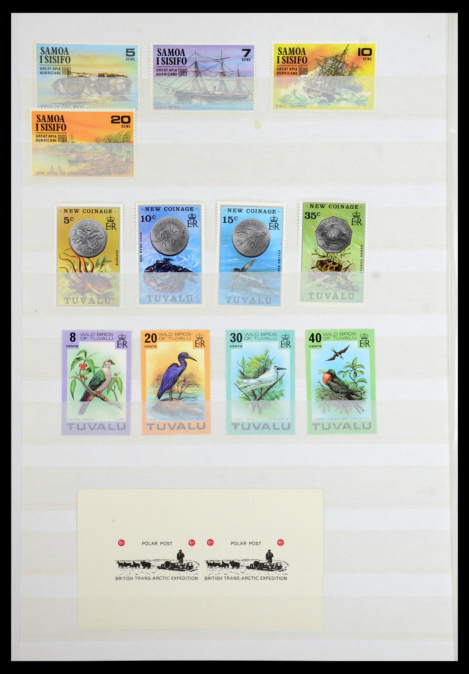 36373 026 - Stamp collection 36373 French Antarctic 1955-2011.