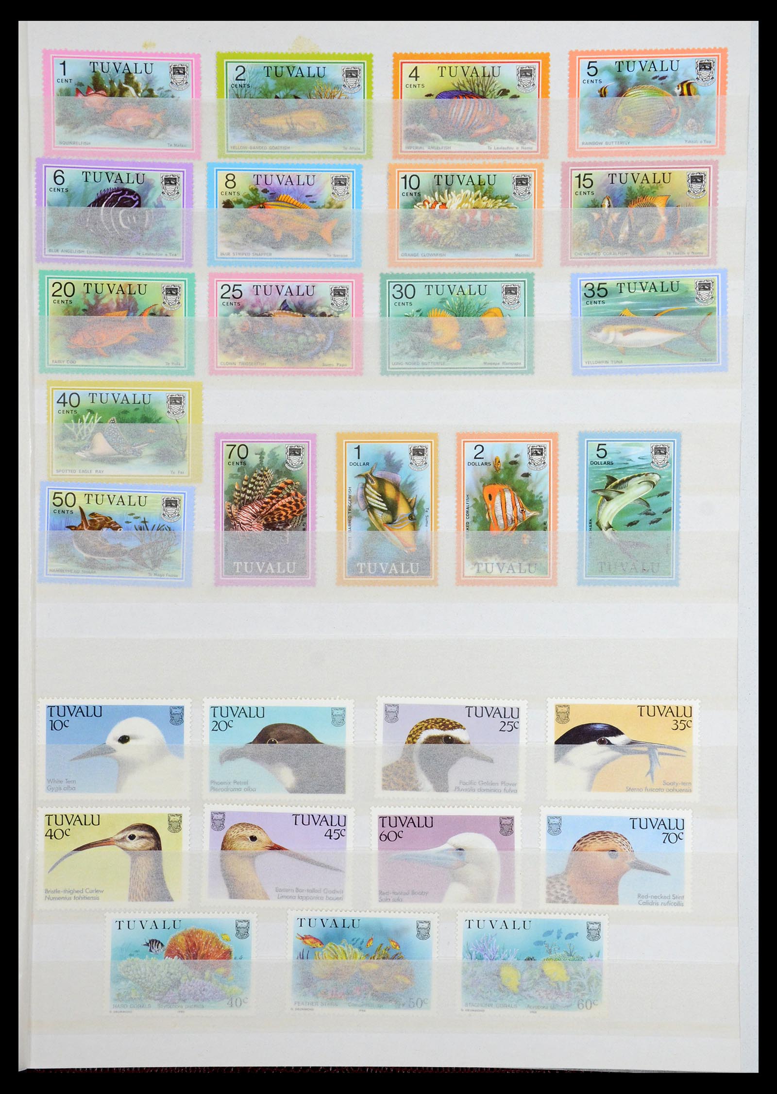 36373 027 - Stamp collection 36373 French Antarctic 1955-2011.