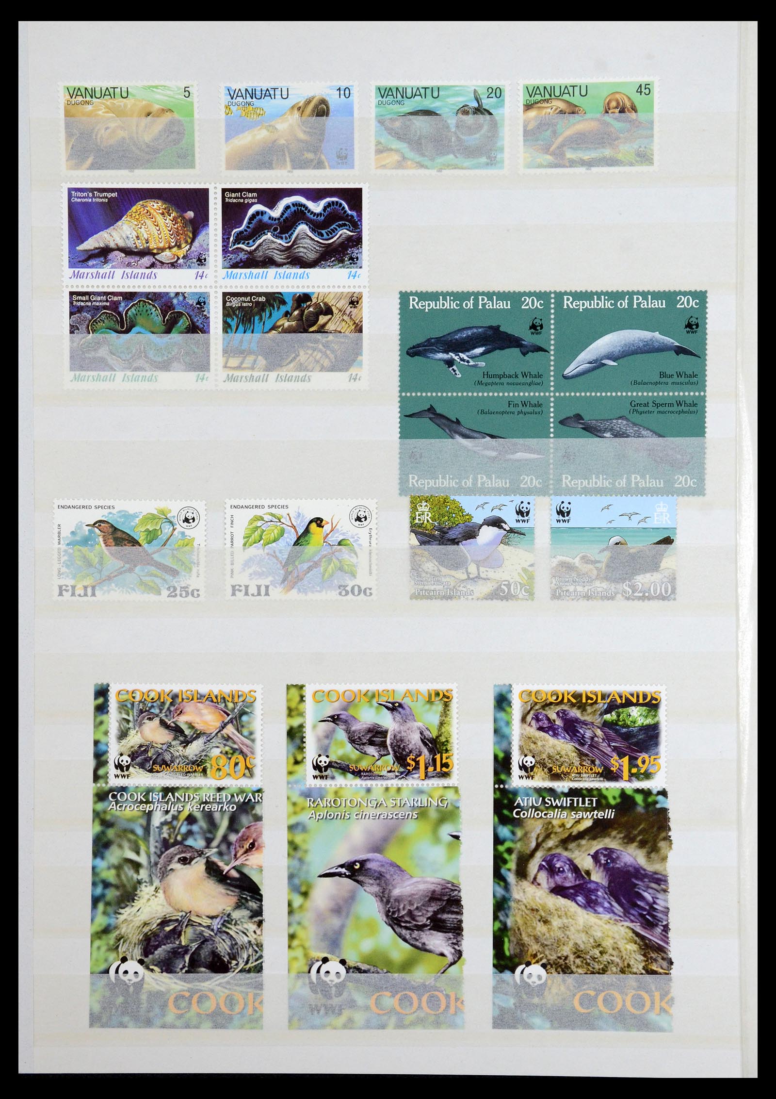 36373 030 - Postzegelverzameling 36373 Frans Antarctica 1955-2011.