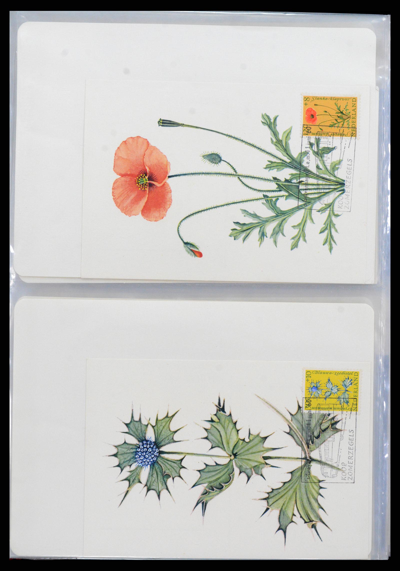 36414 018 - Postzegelverzameling 36414 Nederland maximumkaarten 1938(!)-1987.