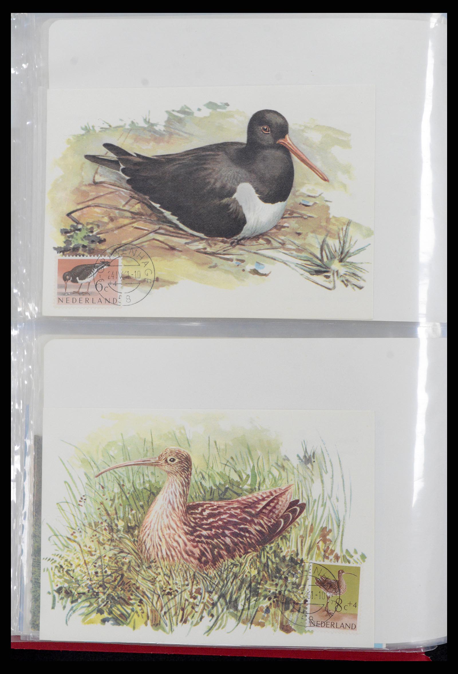 36414 021 - Postzegelverzameling 36414 Nederland maximumkaarten 1938(!)-1987.