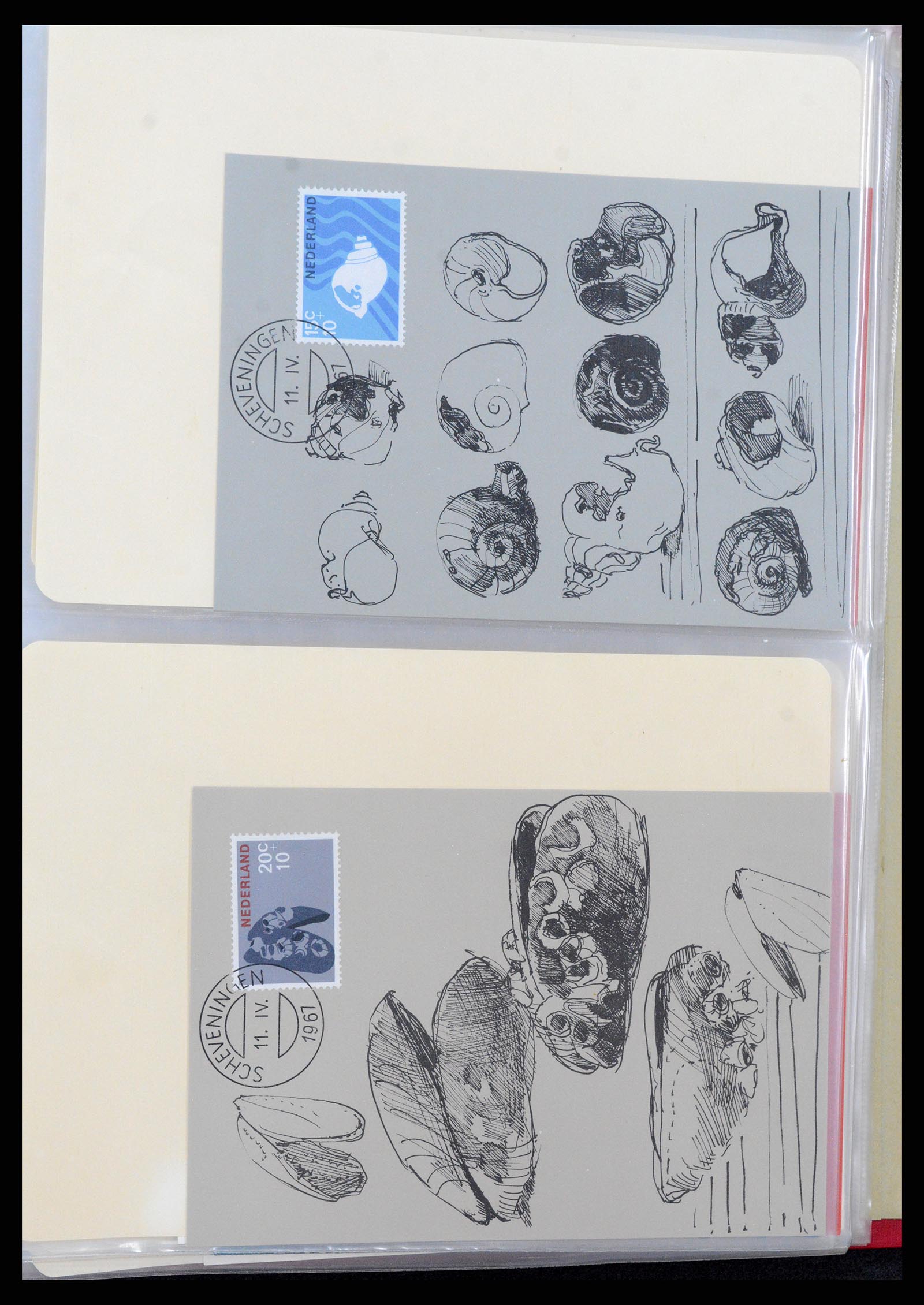 36414 054 - Postzegelverzameling 36414 Nederland maximumkaarten 1938(!)-1987.