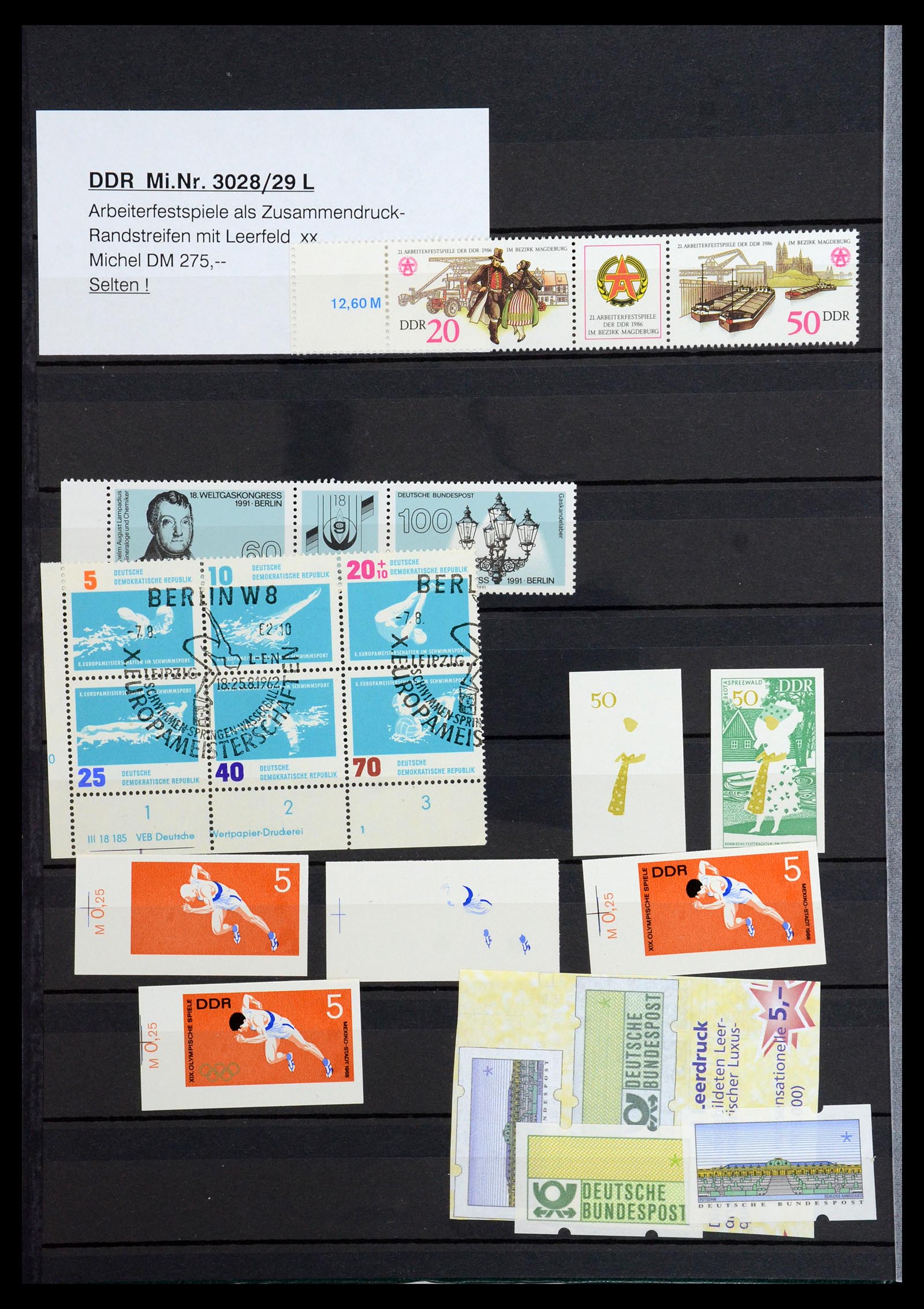 36466 004 - Postzegelverzameling 36466 DDR gespecialiseerd 1949-1986.