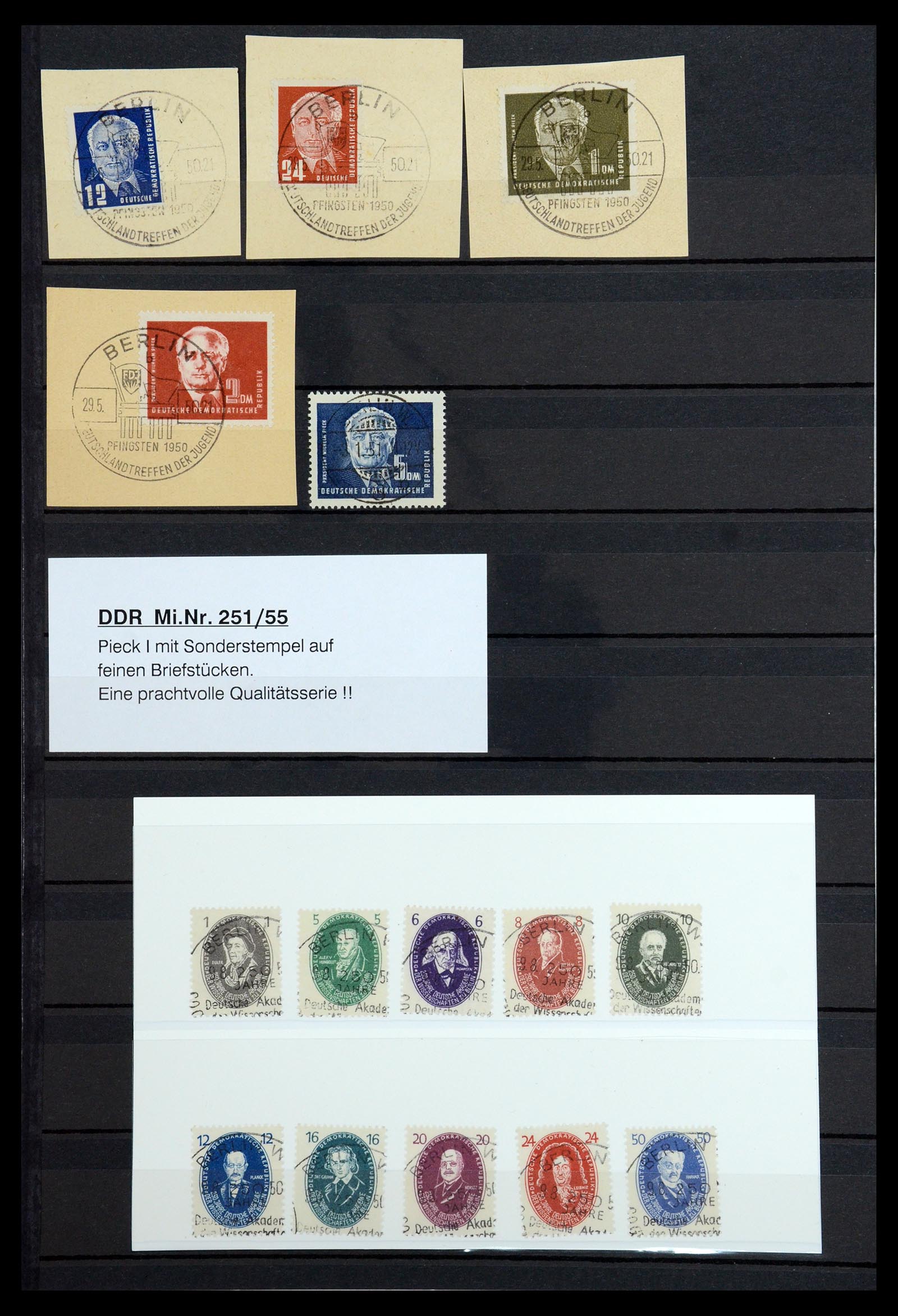 36466 036 - Postzegelverzameling 36466 DDR gespecialiseerd 1949-1986.