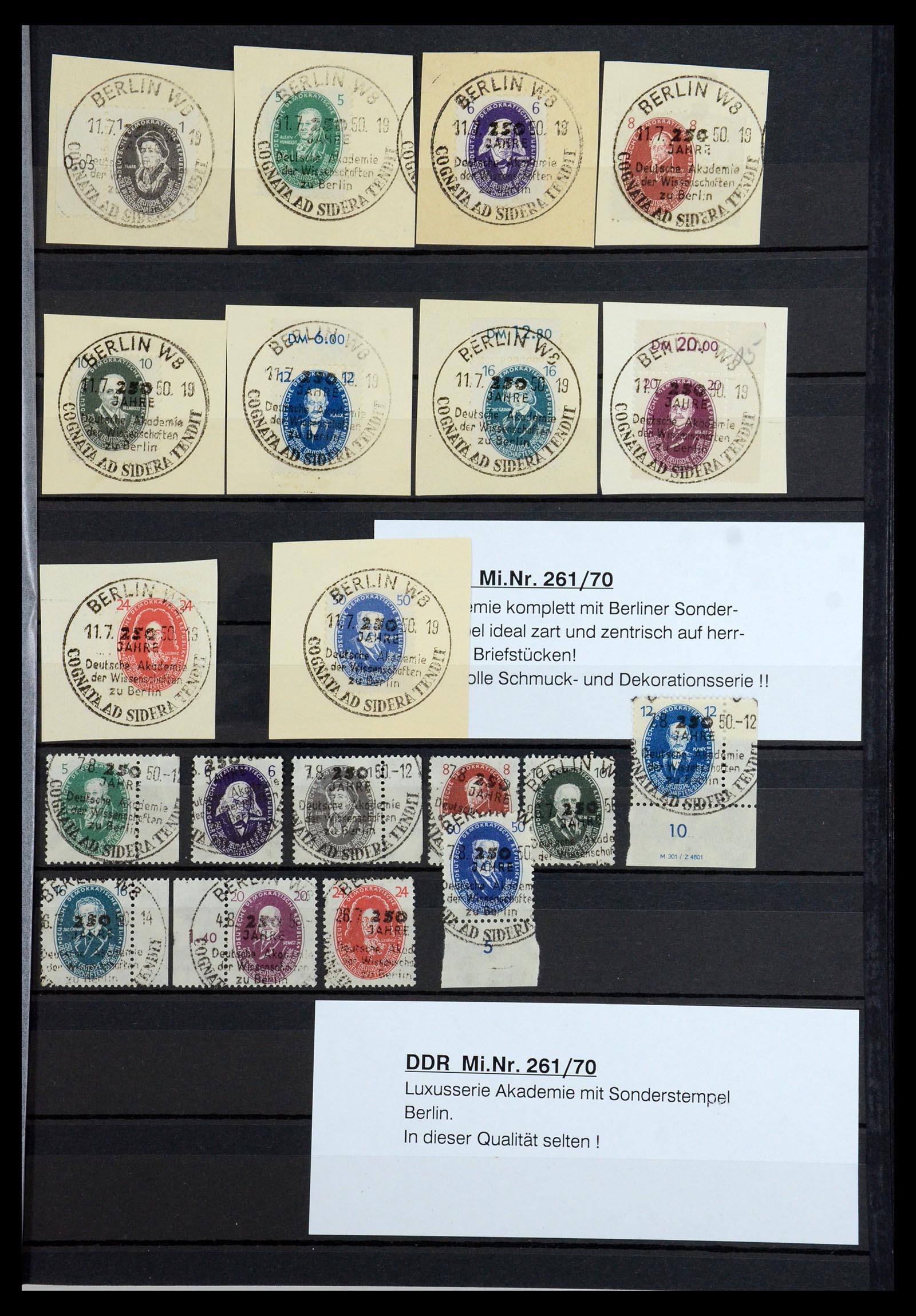 36466 037 - Postzegelverzameling 36466 DDR gespecialiseerd 1949-1986.
