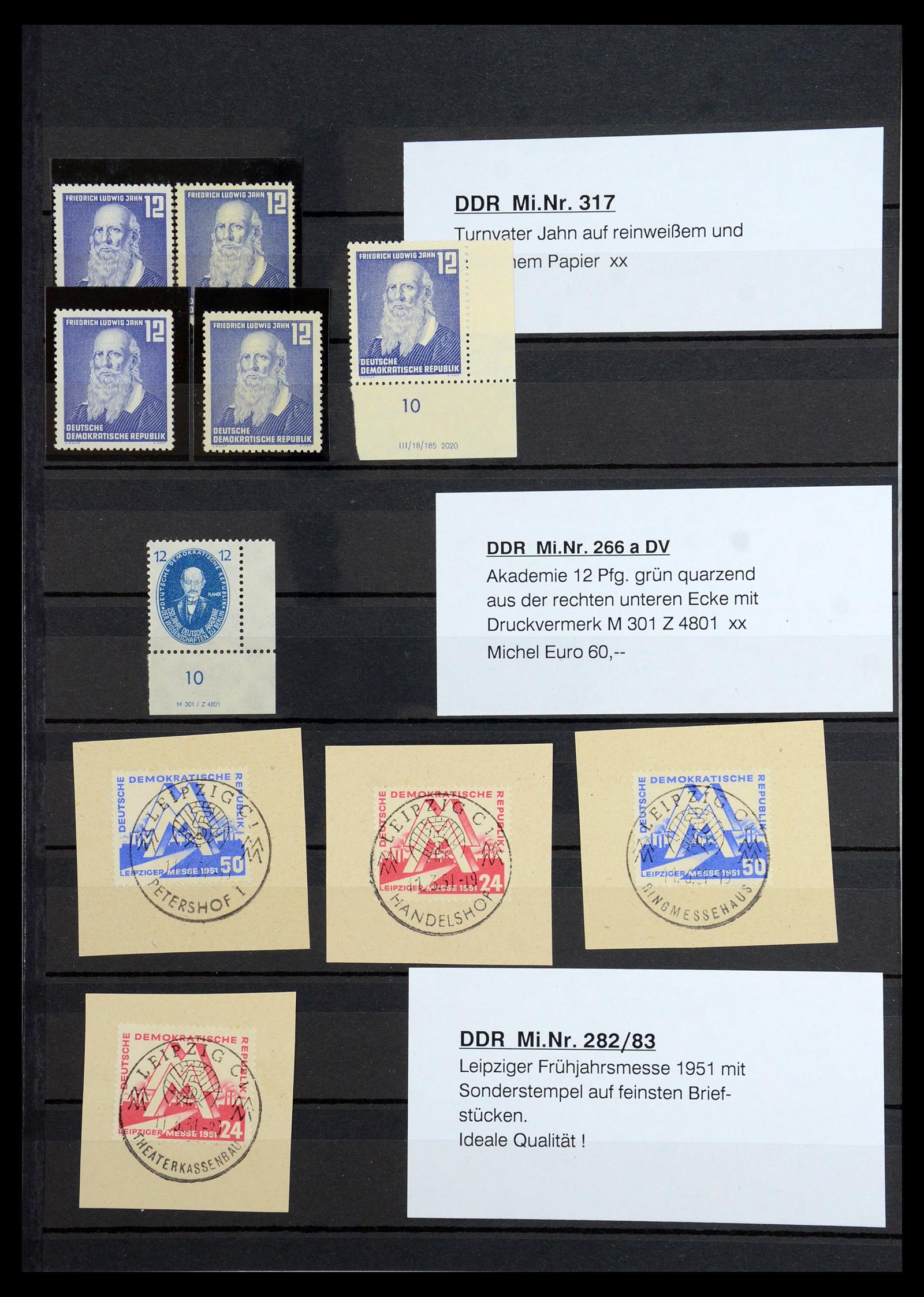 36466 044 - Postzegelverzameling 36466 DDR gespecialiseerd 1949-1986.