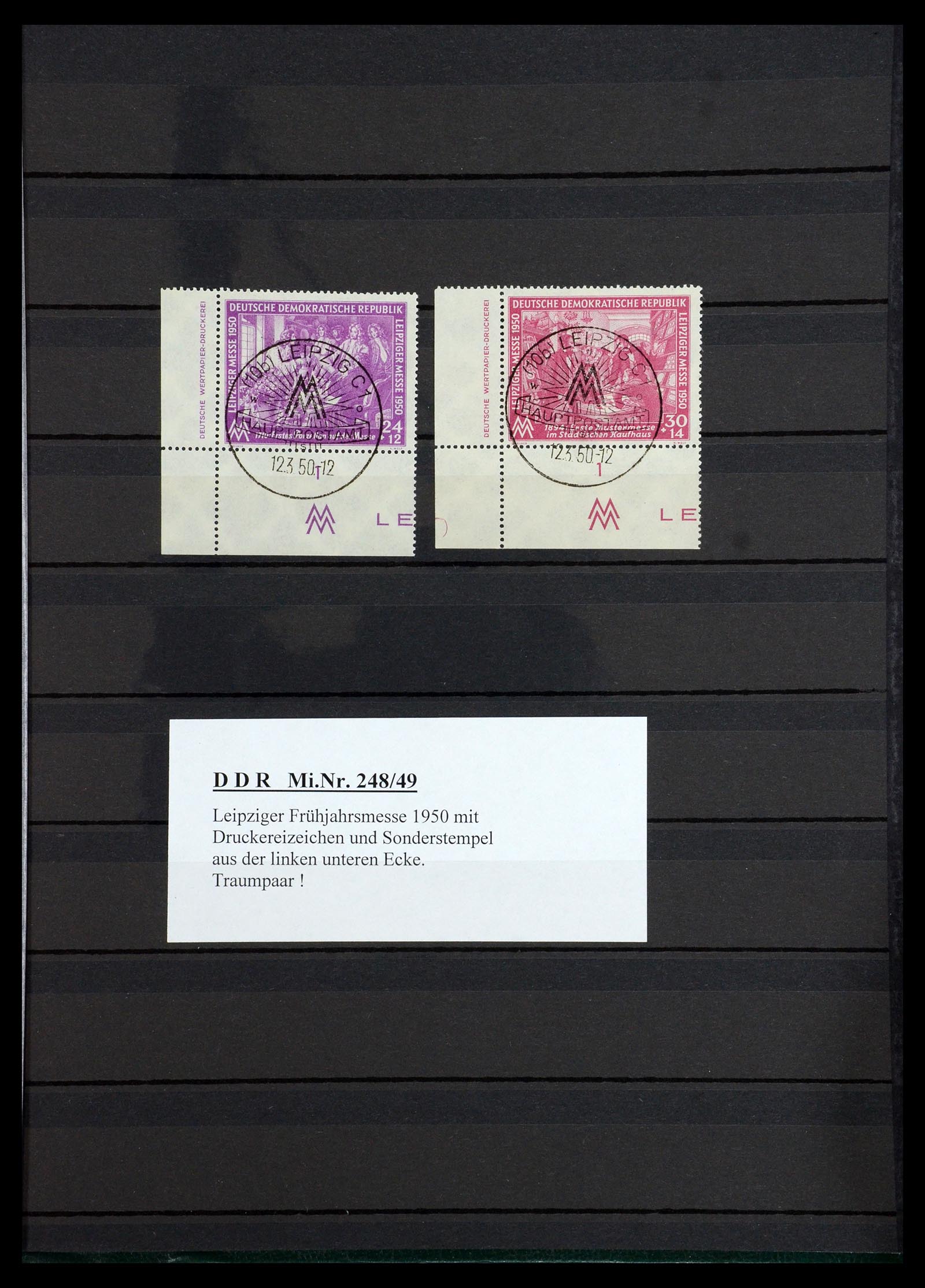 36466 055 - Postzegelverzameling 36466 DDR gespecialiseerd 1949-1986.
