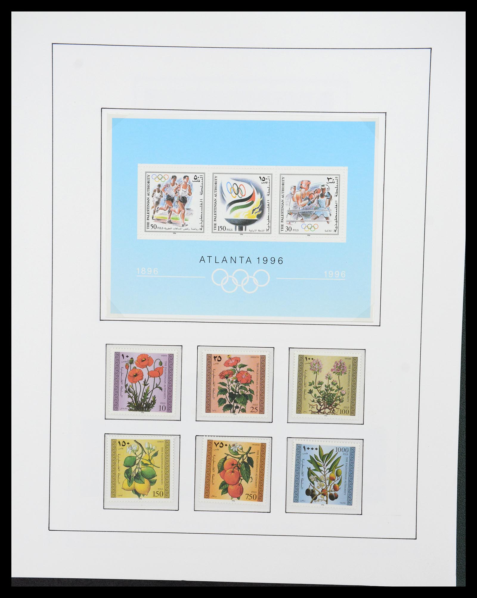 36496 096 - Postzegelverzameling 36496 Palestine 1918-2005.