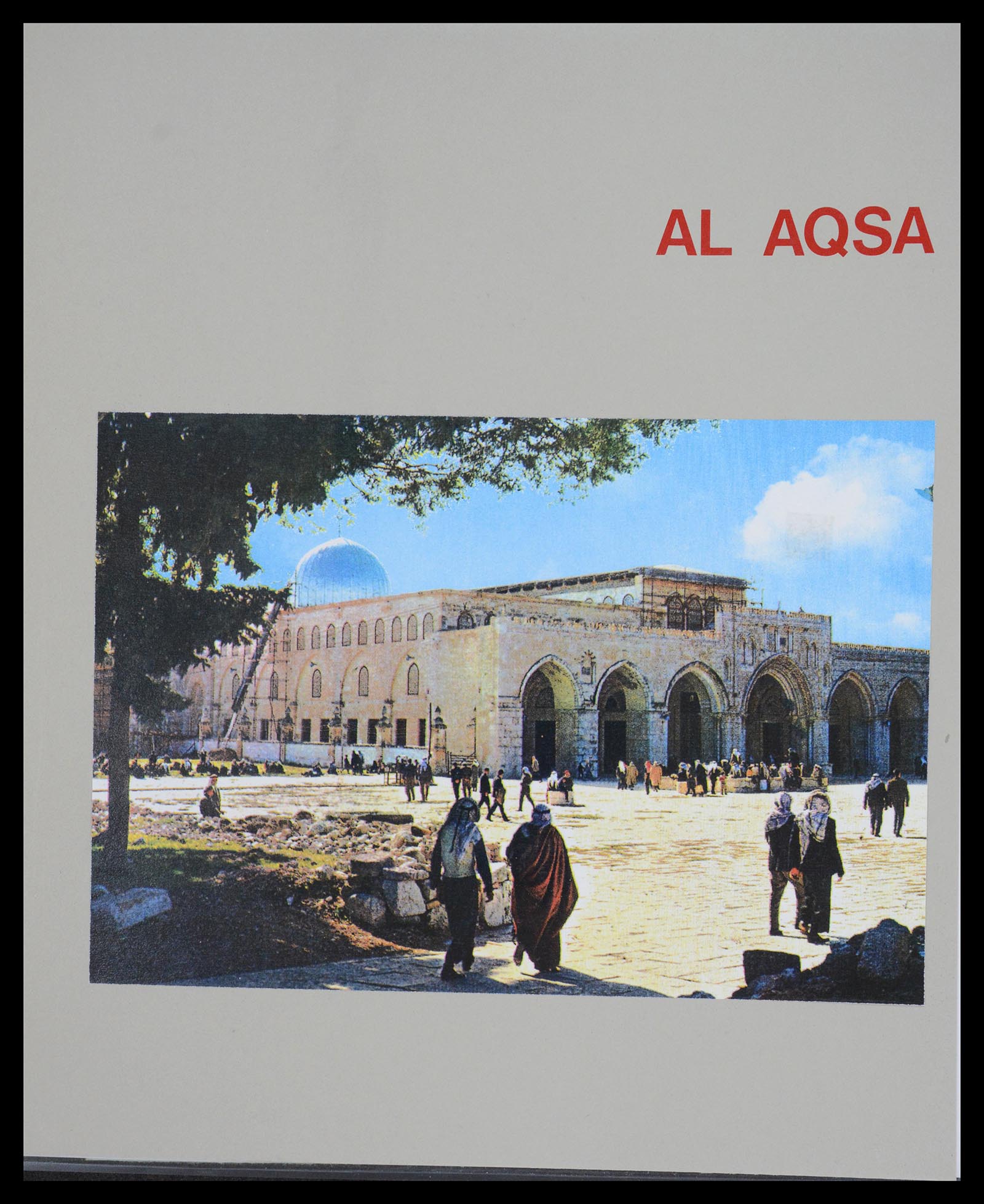 36496 164 - Postzegelverzameling 36496 Palestine 1918-2005.