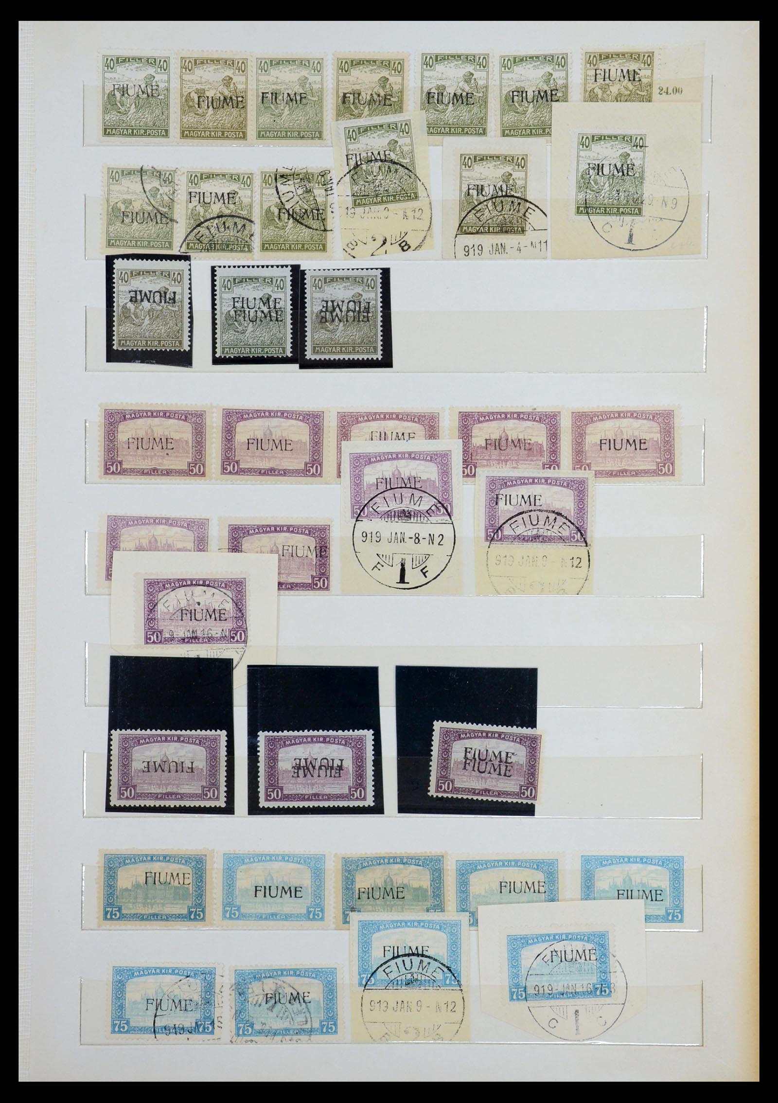 36530 005 - Postzegelverzameling 36530 Fiume 1918-1919.