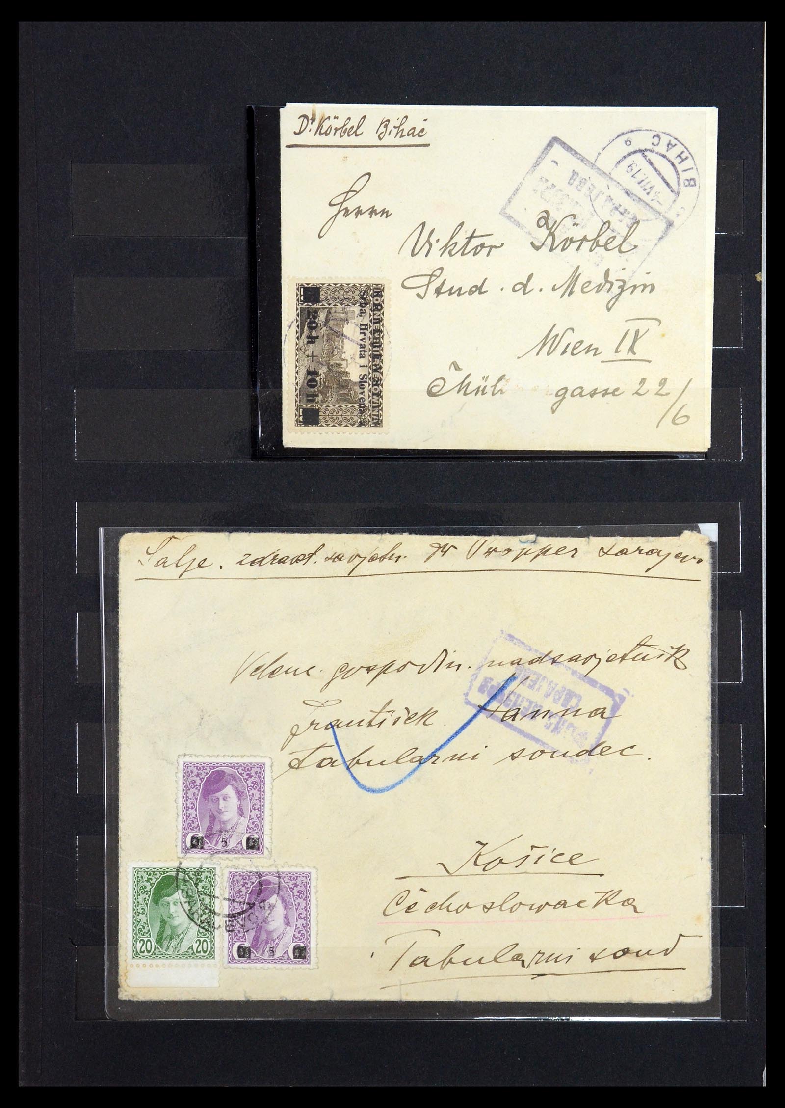 36549 012 - Stamp collection 36549 Yugoslavia 1918-1920.