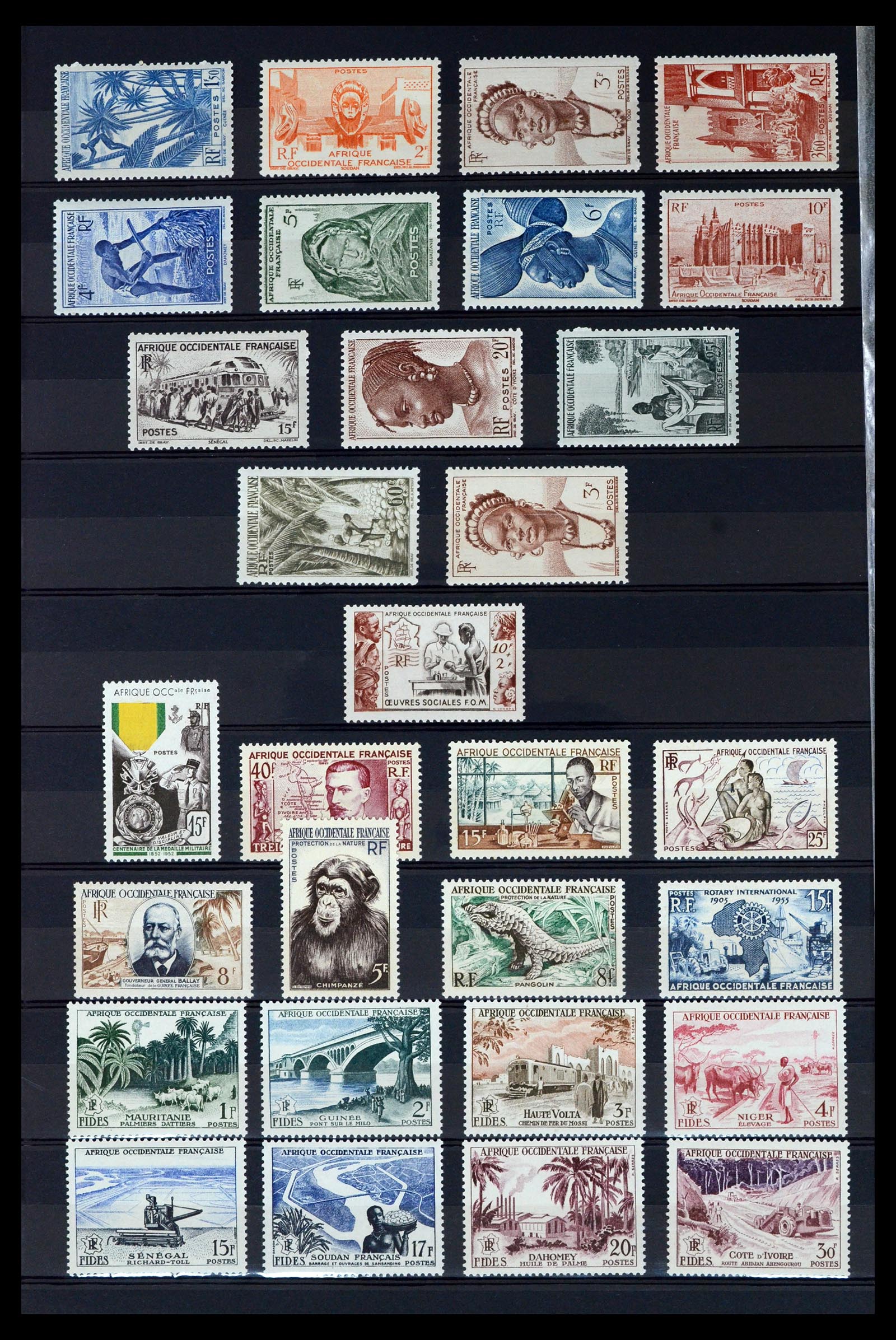36620 014 - Stamp collection 36620 French colonies 1860-1950.