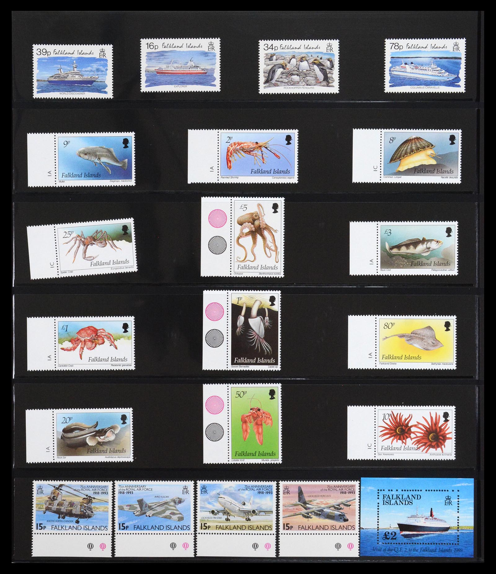 36638 024 - Postzegelverzameling 36638 Falkland Islands 1904-2005.