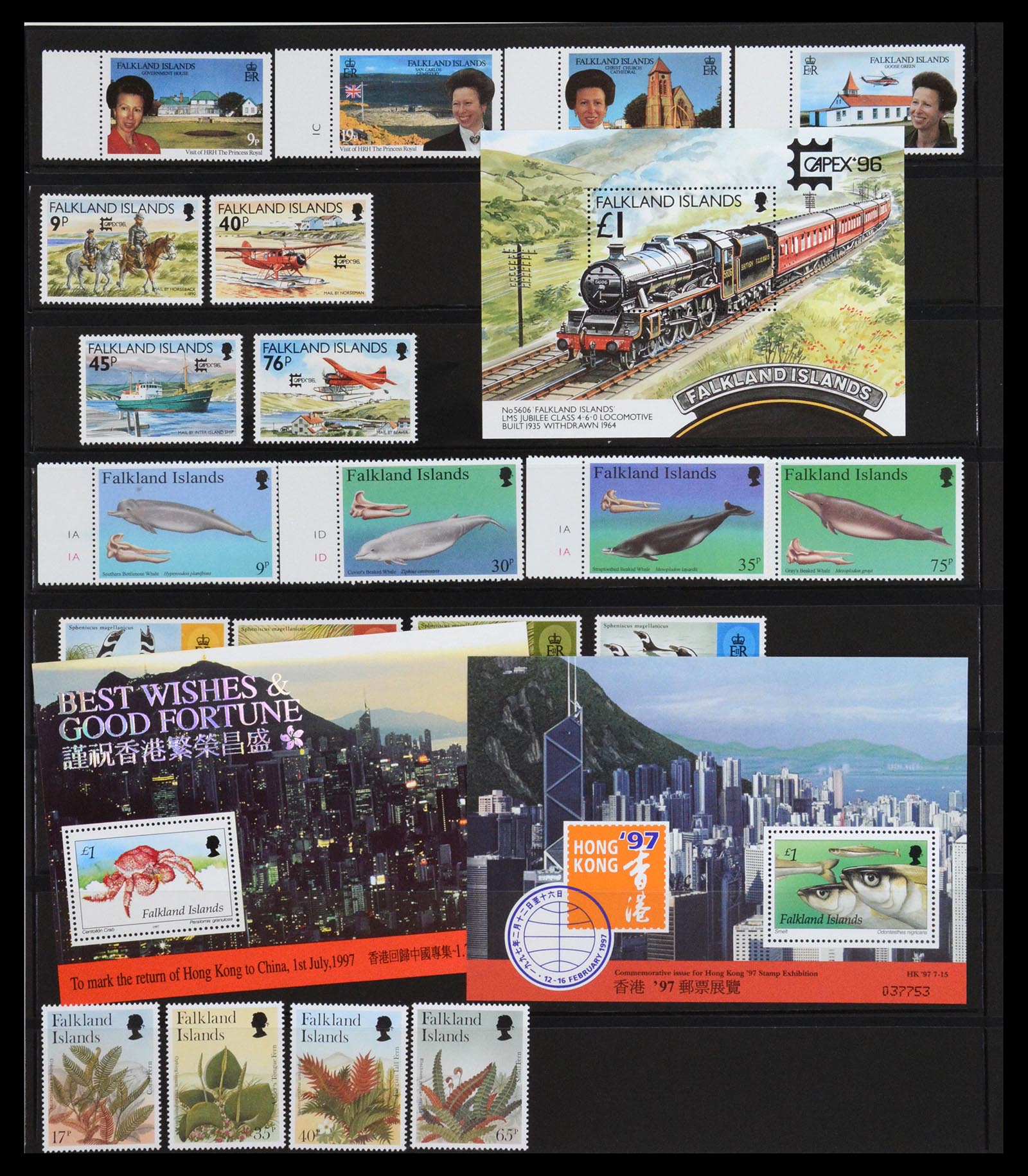 36638 030 - Postzegelverzameling 36638 Falkland Islands 1904-2005.