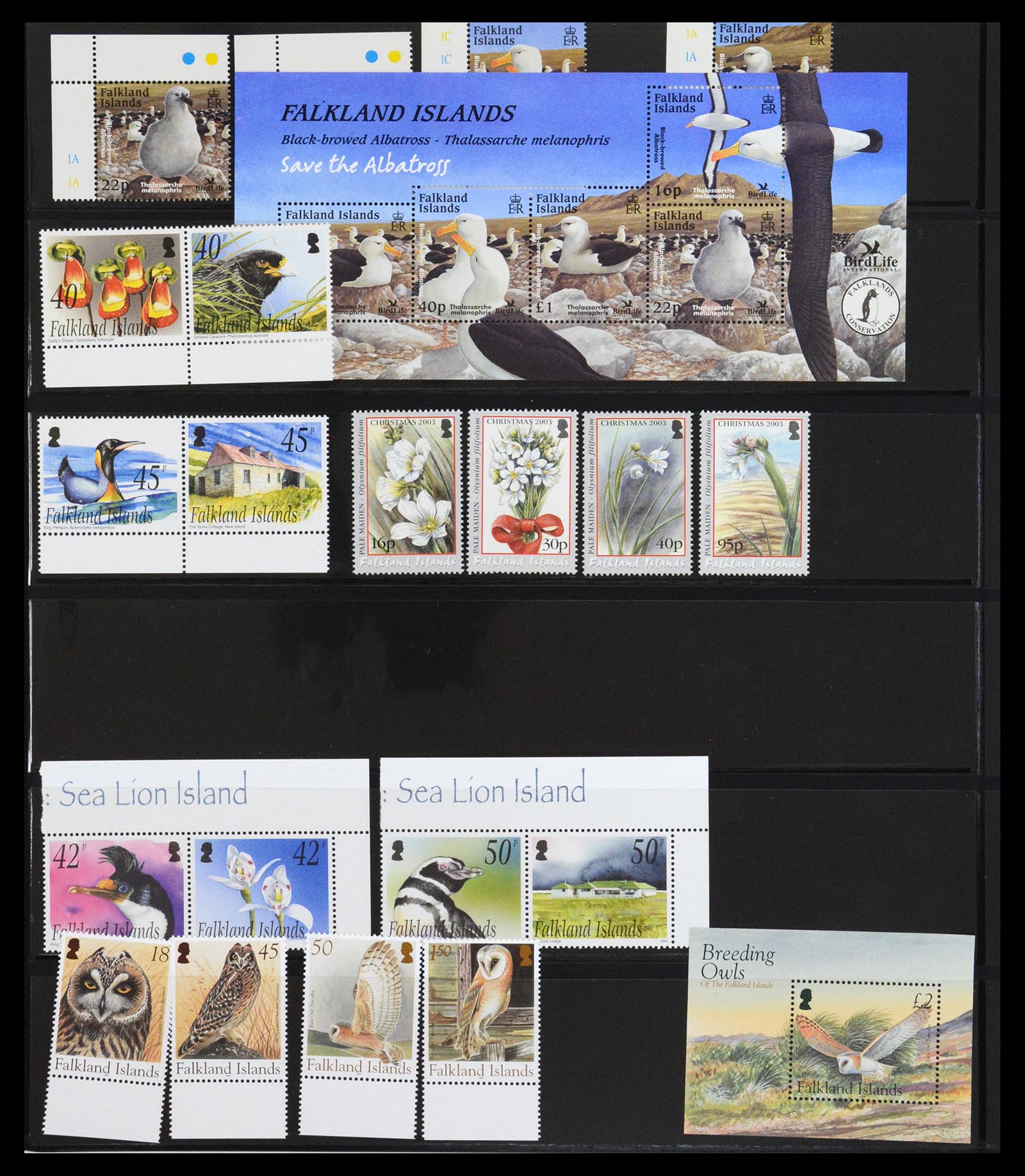 36638 038 - Postzegelverzameling 36638 Falkland Islands 1904-2005.