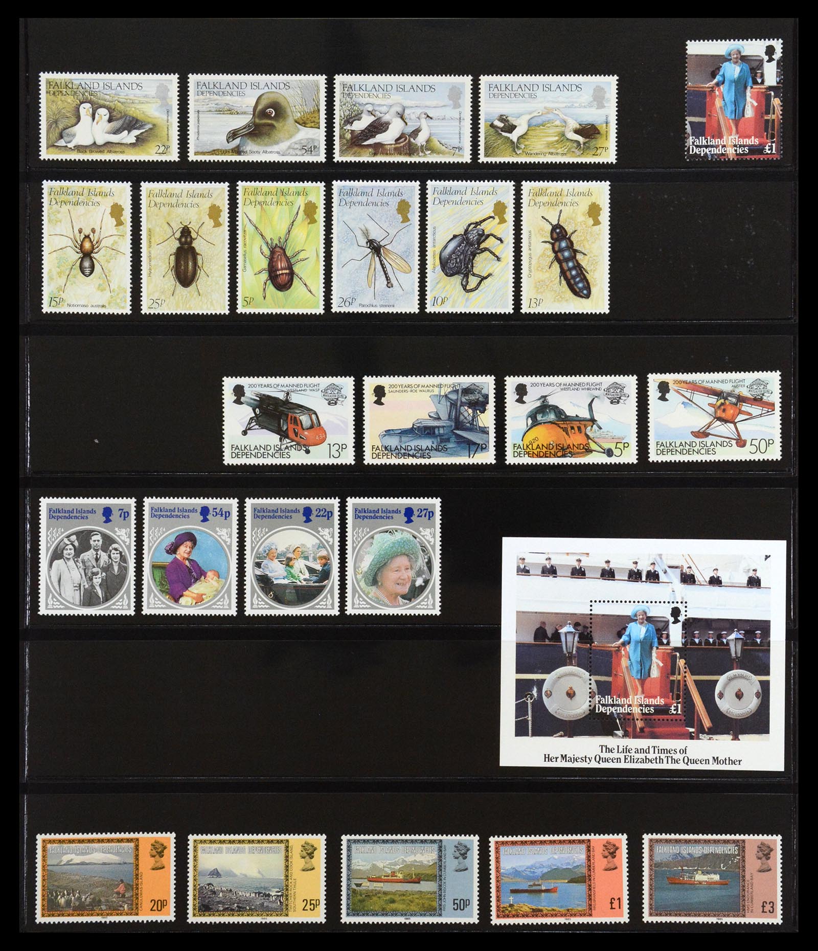 36638 045 - Postzegelverzameling 36638 Falkland Islands 1904-2005.