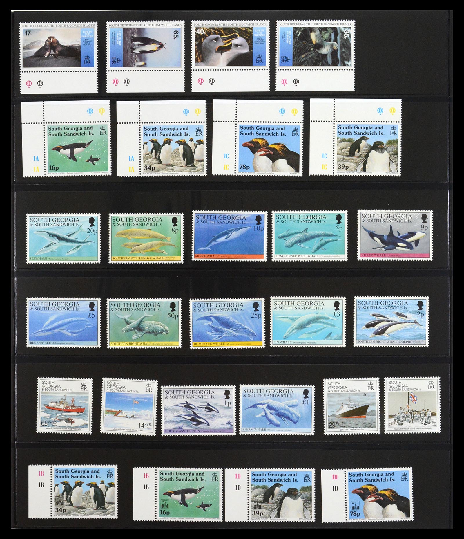 36638 056 - Stamp collection 36638 Falkland Eilanden 1904-2005.