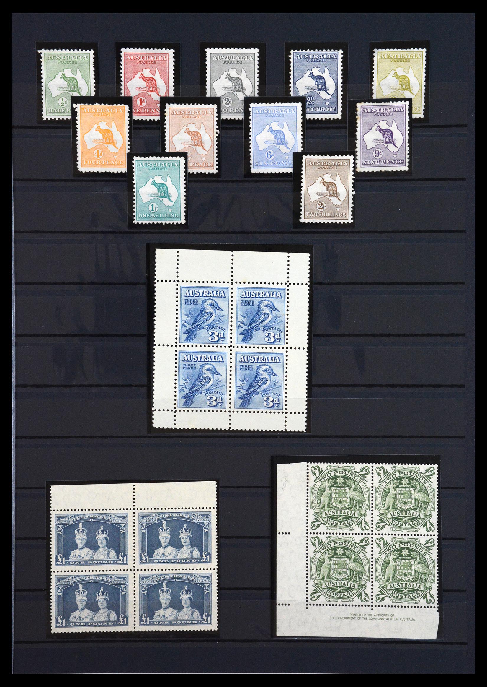 36657 001 - Postzegelverzameling 36657 Australia 1913-1950.