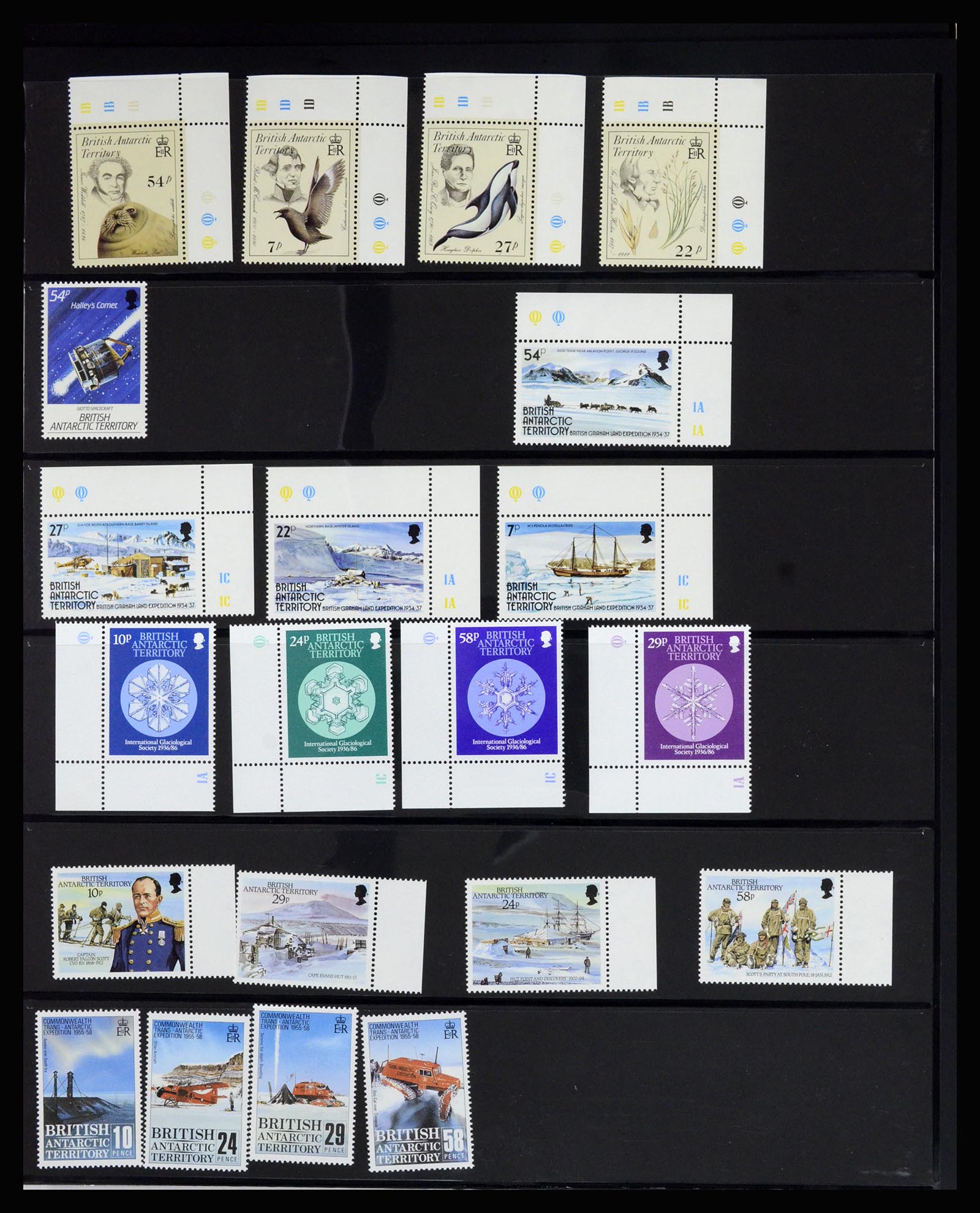 36678 028 - Postzegelverzameling 36678 Antarctica 1957-2012.